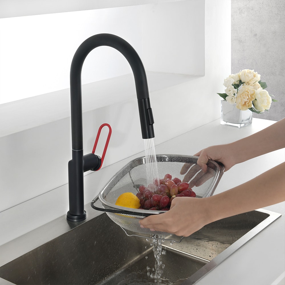Newater 9002011 Dillan Matte Black Single Handle Deck-mount Pull-down Kitchen Faucet with Sprayer