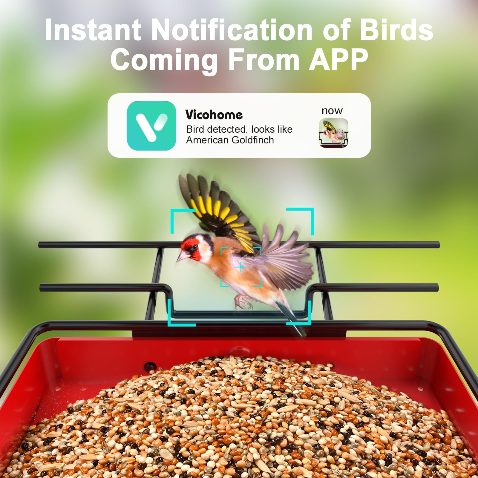 Berdz APS100 Bird-Feeders - View #2