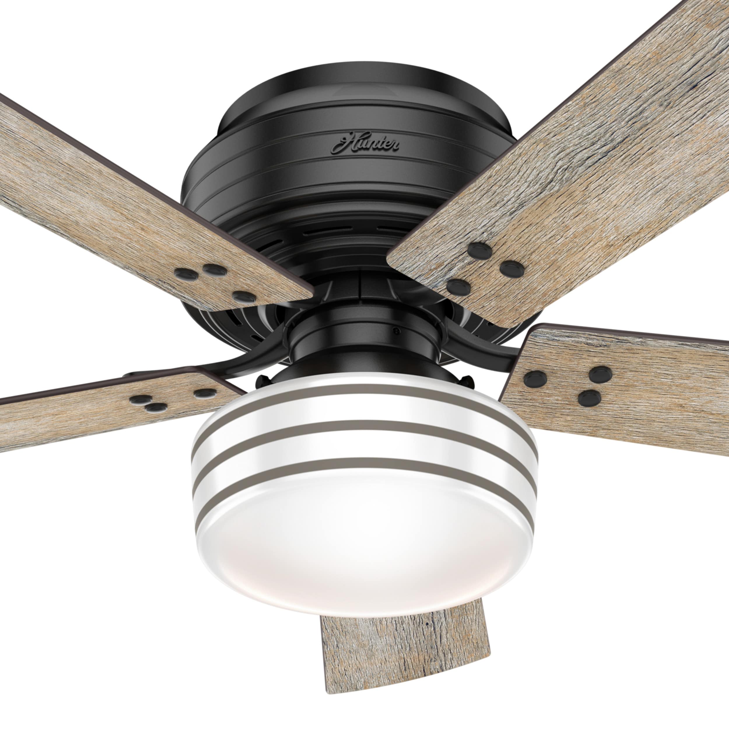 Hunter 55080 Ceiling-Fans - View #14