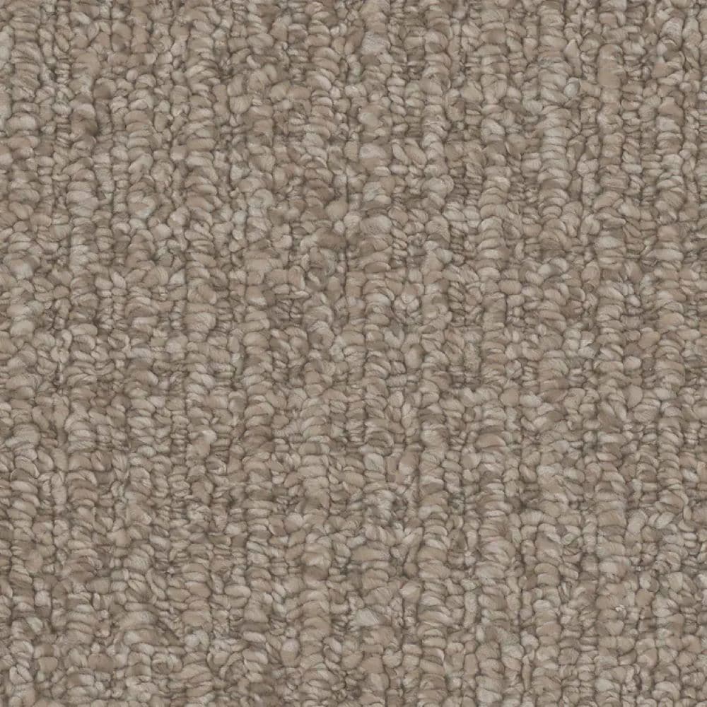 STAINMASTER S9540-30013-S (Sample) Chapel Lake Gray 40-oz sq yard Polyester Pattern Indoor Carpet