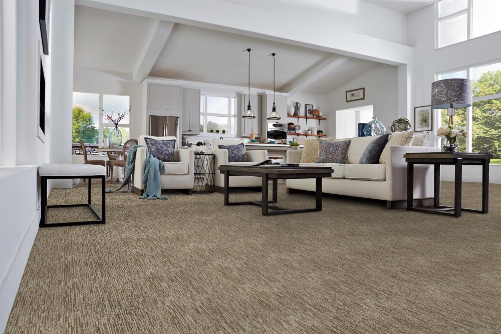 STAINMASTER 8814-206S Carpet-Samples - View #2