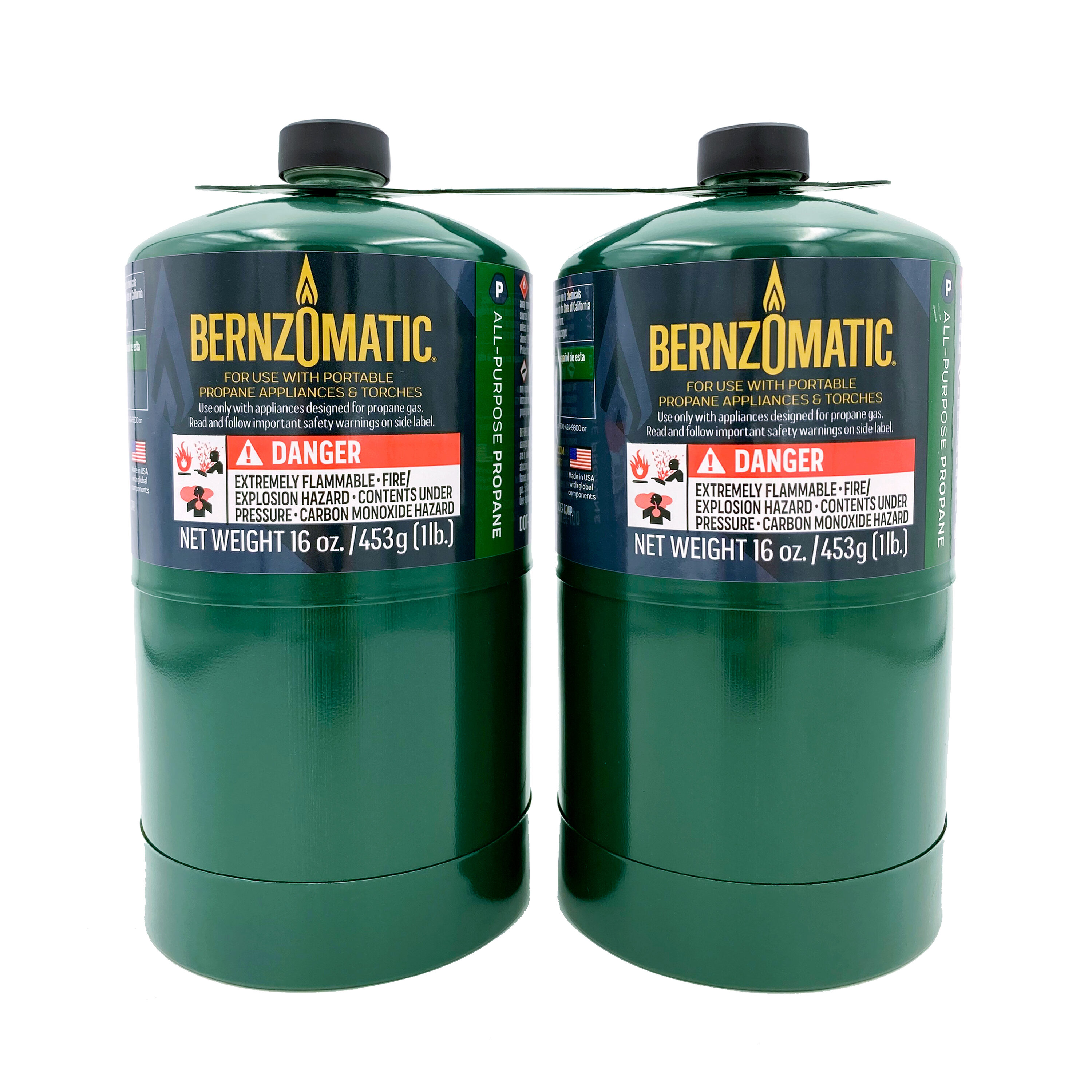 Bernzomatic 2-Pack Green Steel Propane Tanks 8x8x4 Inches Pre
