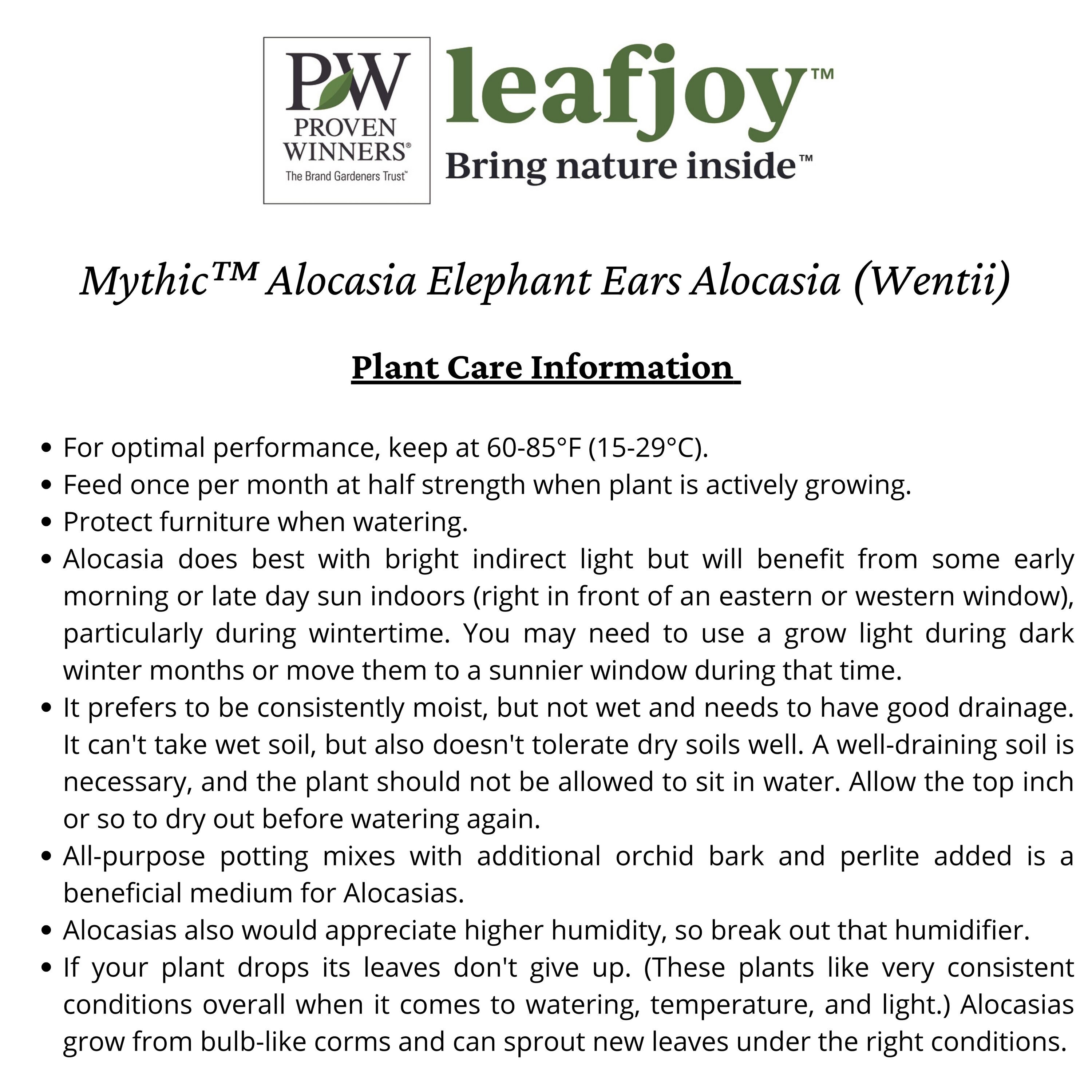 Proven Winners ALCPRL0135107 hseplants - View #3