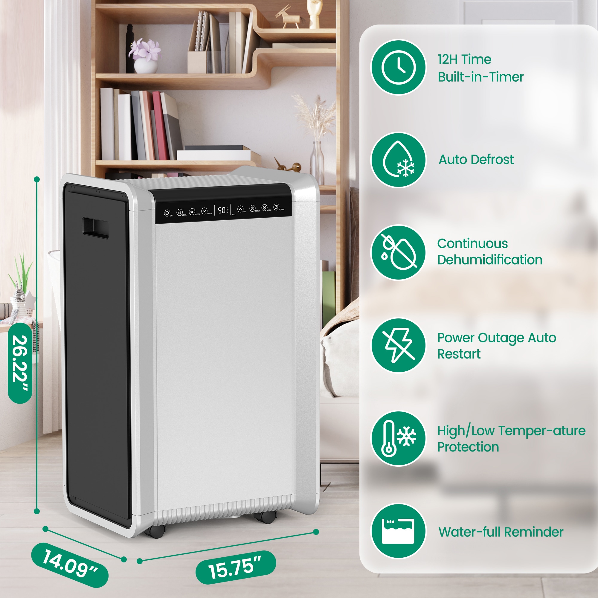 Phivve D024D t000099 - View #9