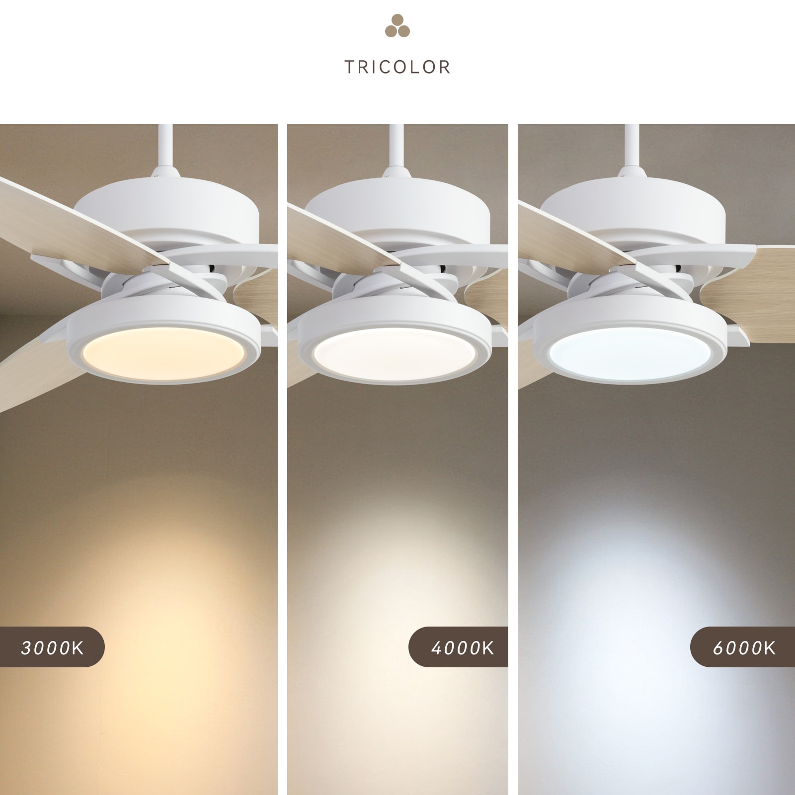 Tatayosi DJ-P284009 Ceiling-Fans - View #2