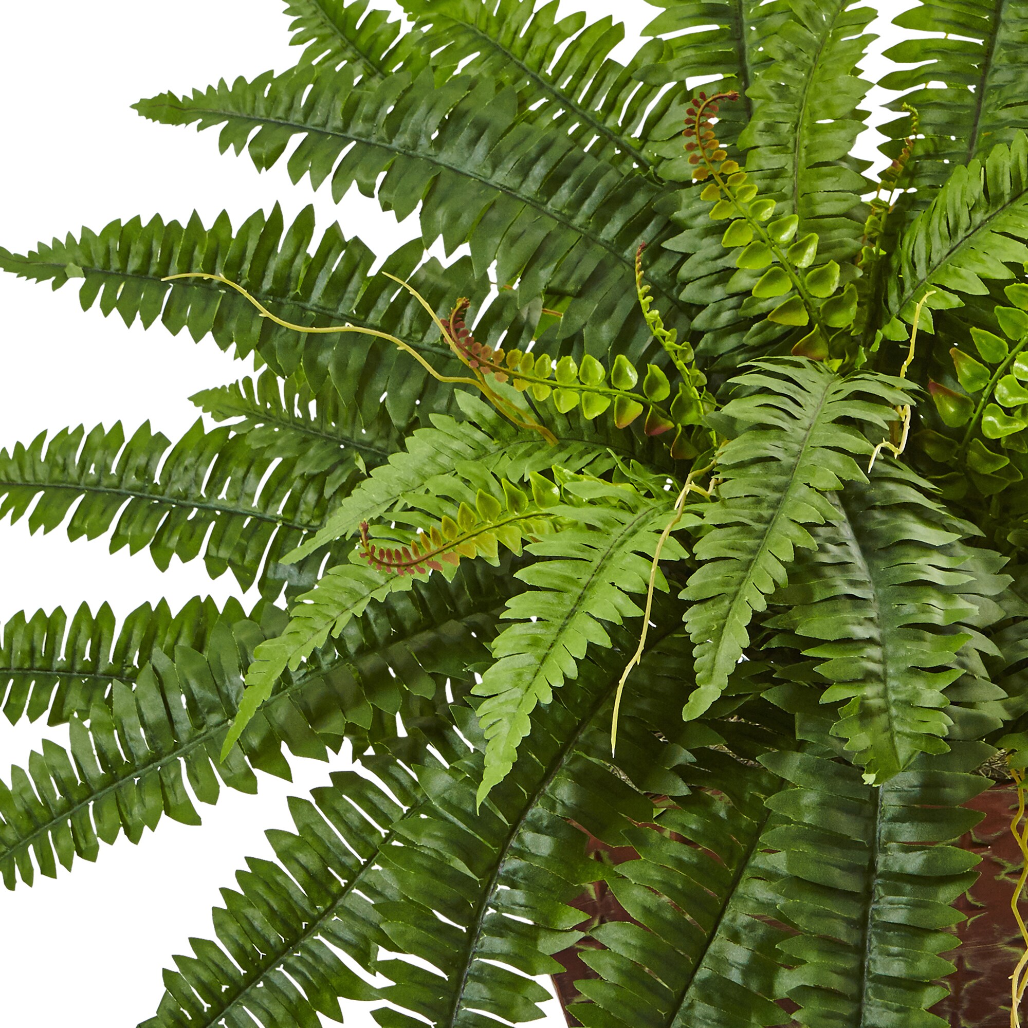 Desktop Fern Artificial Plants & Flowers at