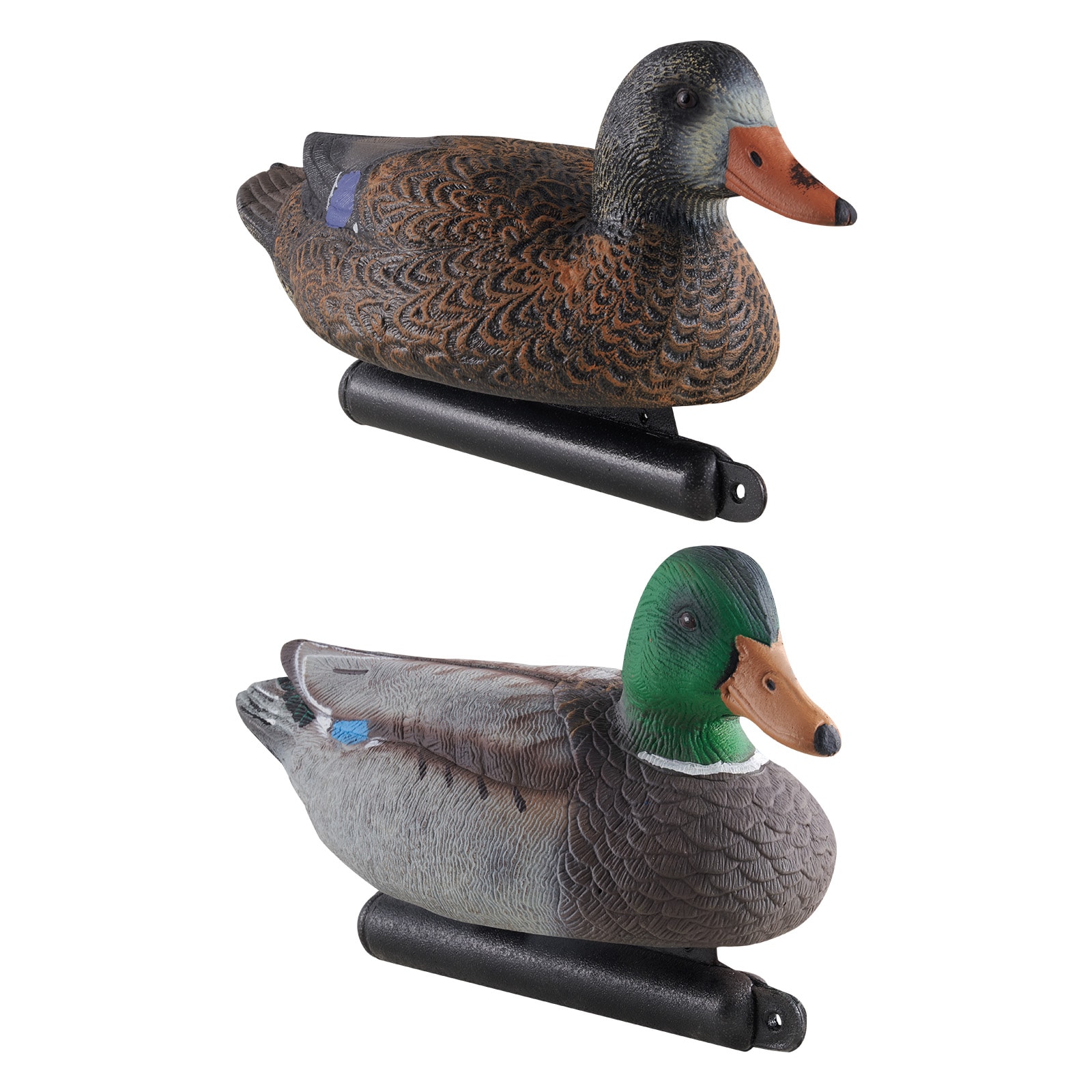 GIVIMO - 6-Pack Realistic Floating Duck Decoys with 3 Drakes and 3 Hens High-Density XPE Hunting ...