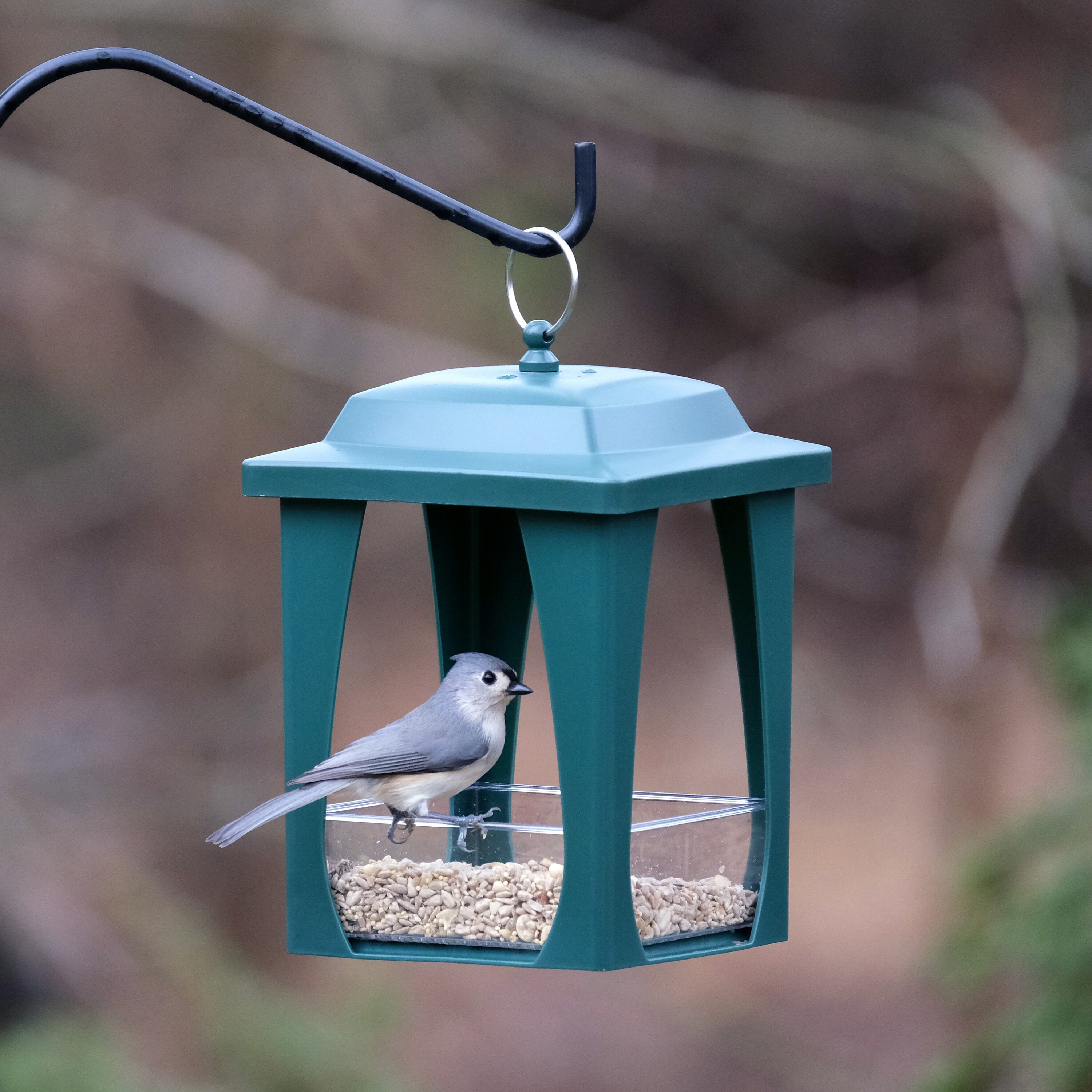 Style Selections FLY-3P-SS1 Bird-Feeders - View #12