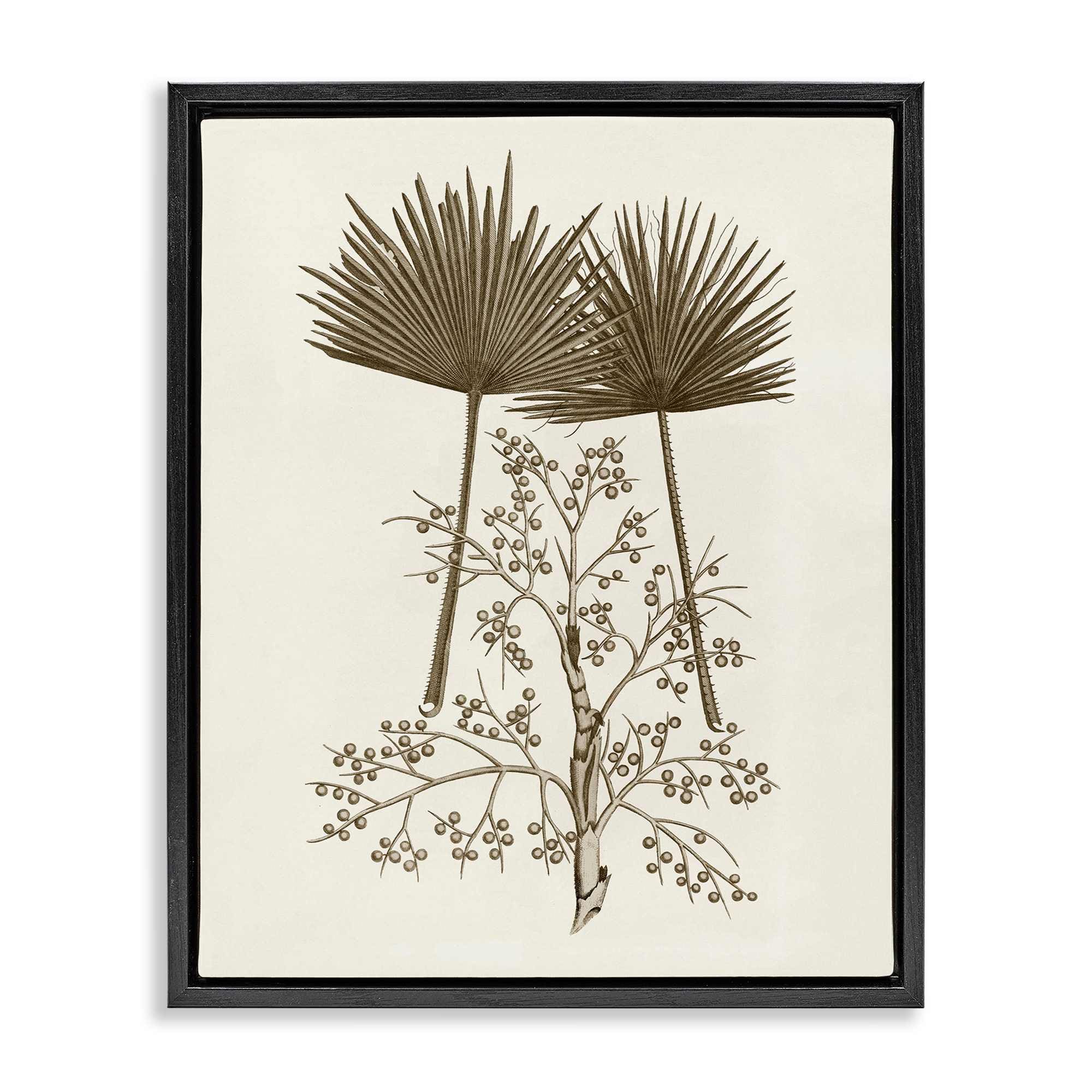 Stupell Industries BT-478-FFB-24X30 Palm Leaf and Olive Branches Black Framed Floater Canvas Wall Art By Phillipa Katz 25 x 31
