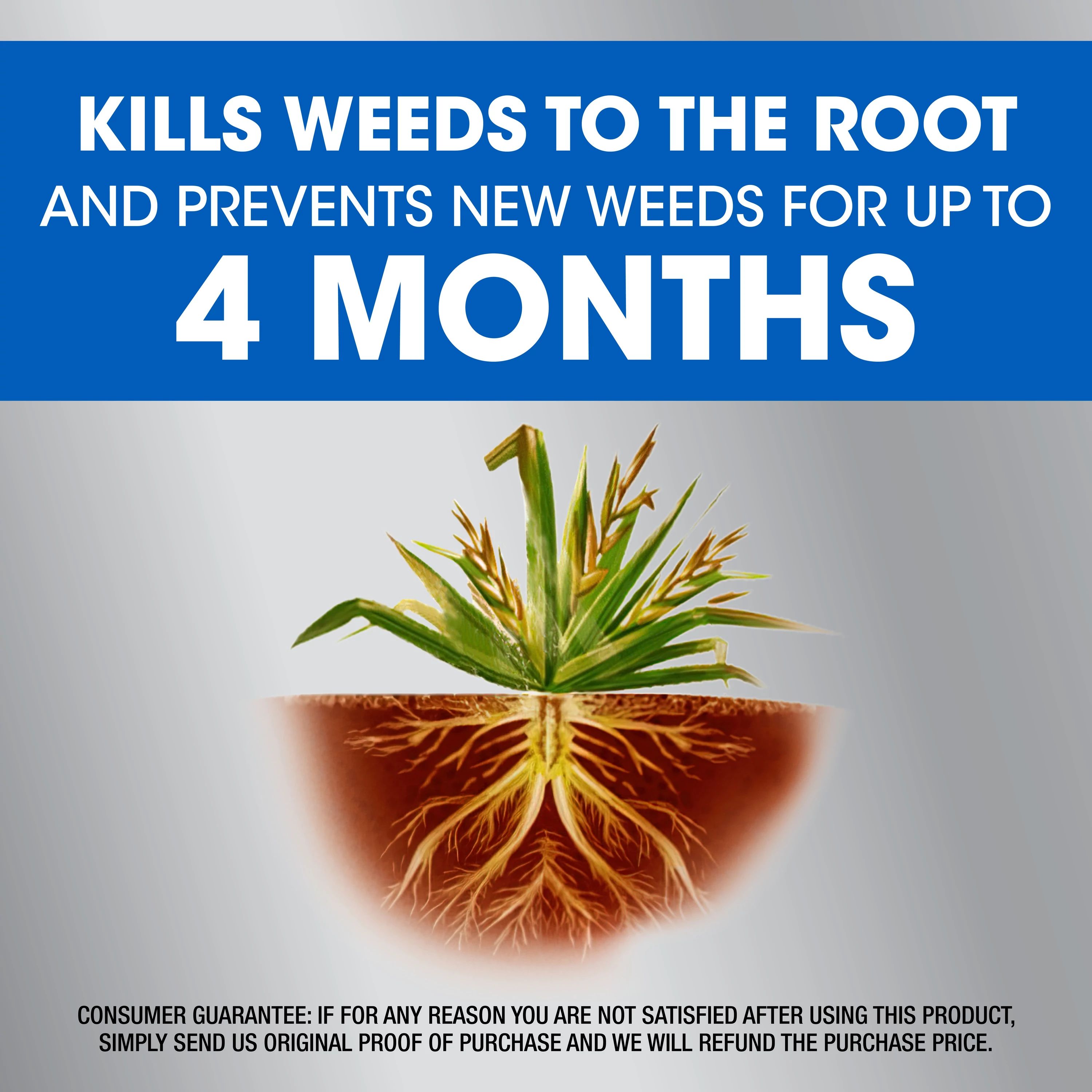 Roundup 5378304 Weed-Killers - View #5