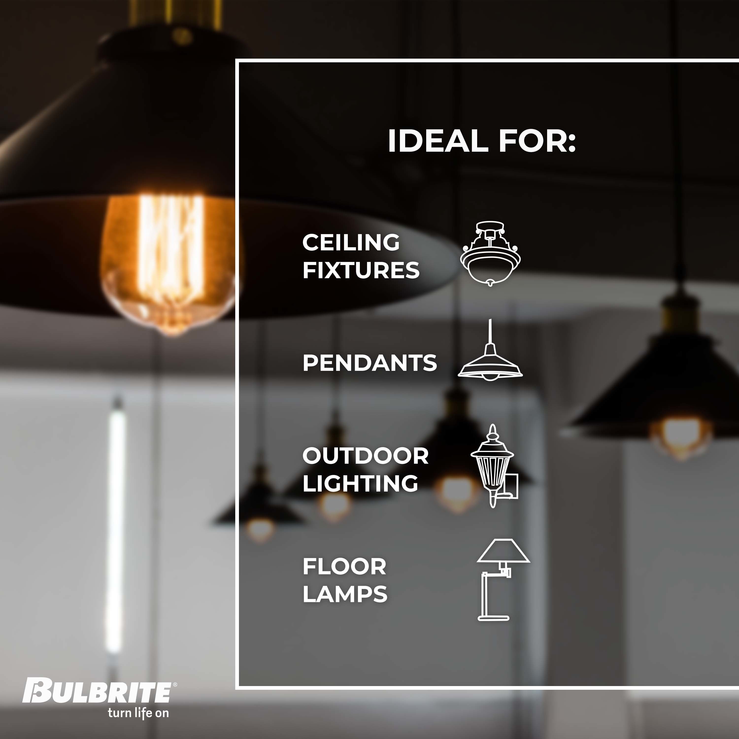 Bulbrite 861373 Dec-Led-Light-Bulbs - View #5