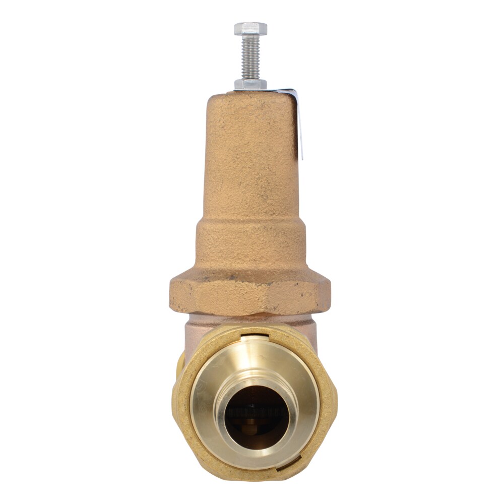 Cash Acme PVA41M-DUEX-60 Pressure-Relief-Valves-Regulators - View #2