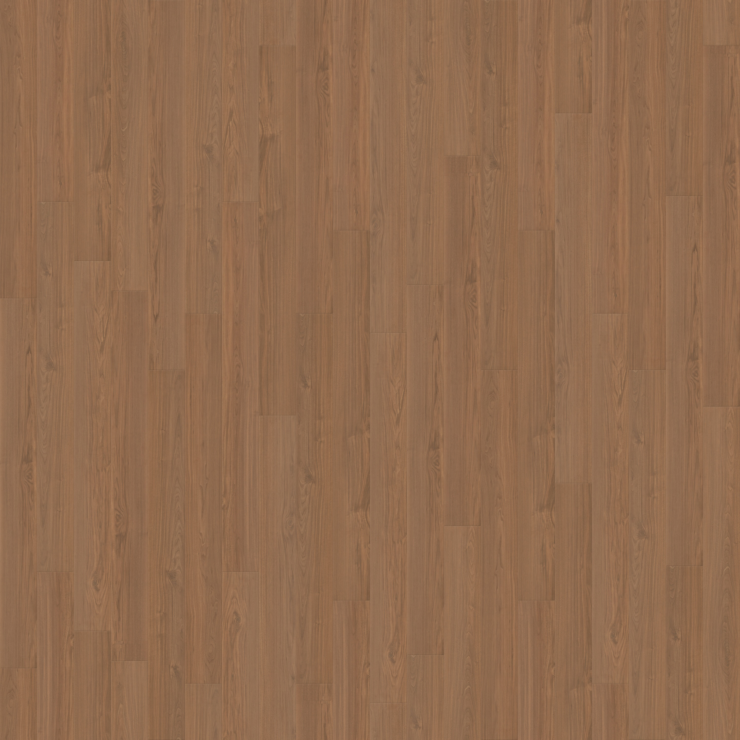 CALI 7704000800 Santa Cruz Wharf Walk 12-mm T x 9-1/2-in W x 72-in L Waterproof Laminate Flooring ( 28.13-sq ft / Carton )