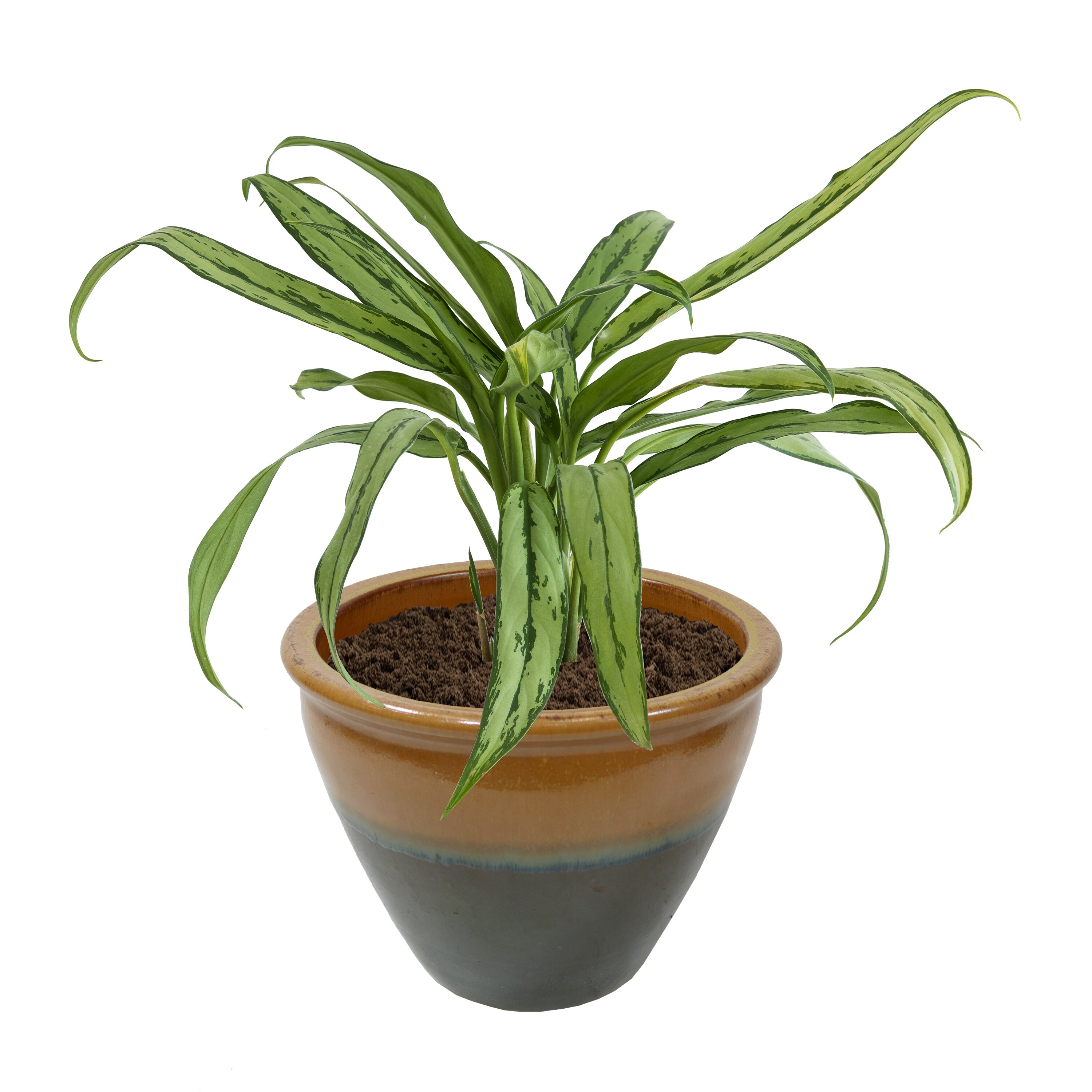 Sunnydaze Decor AP-810 Planter-Window-Box - View #7