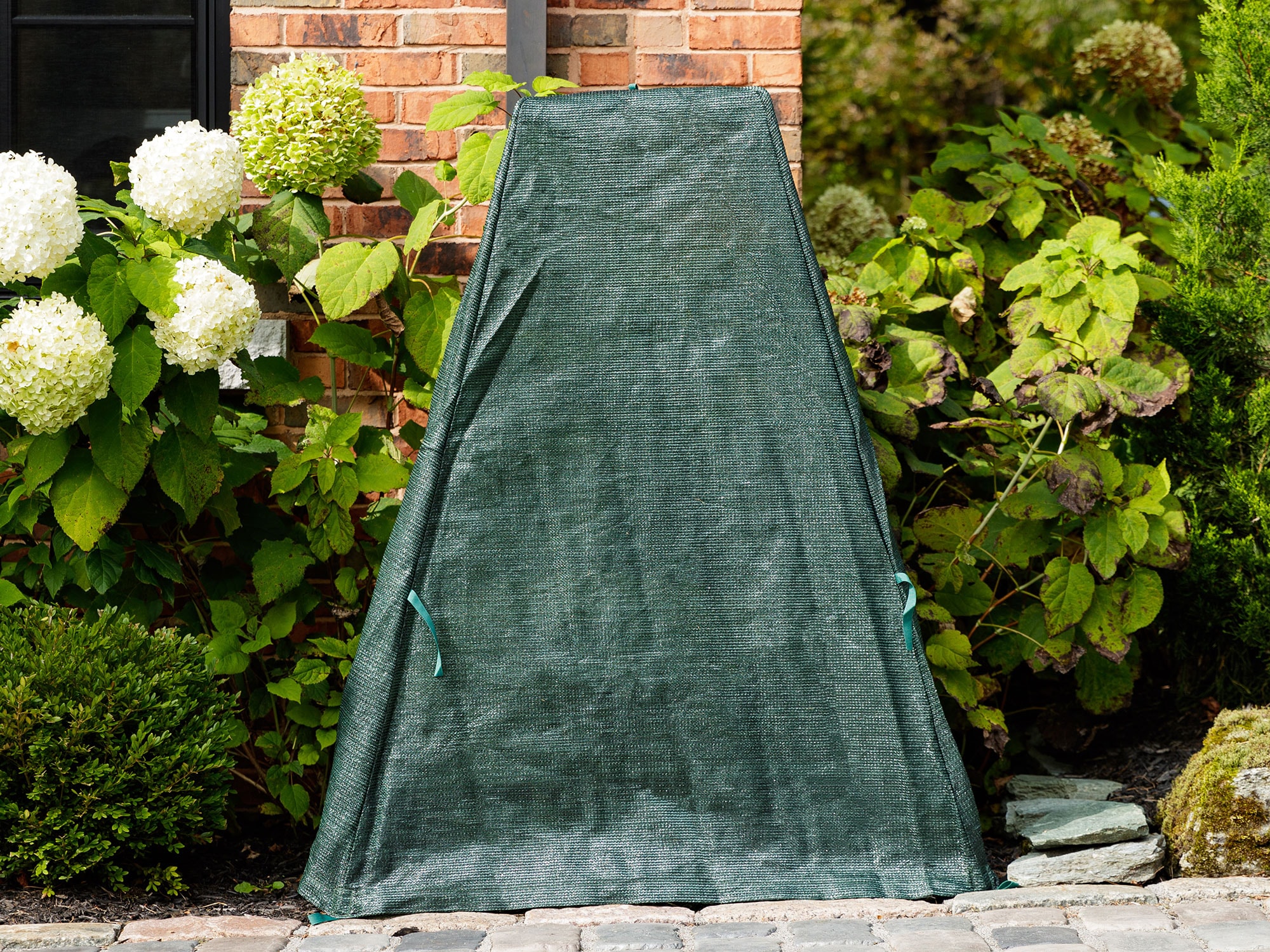 Gazebo Penguin 12-023 Plastic Tent (Common: 3.3-ft x 3.3-ft Actual: 3.3-ft x 3.3-ft )