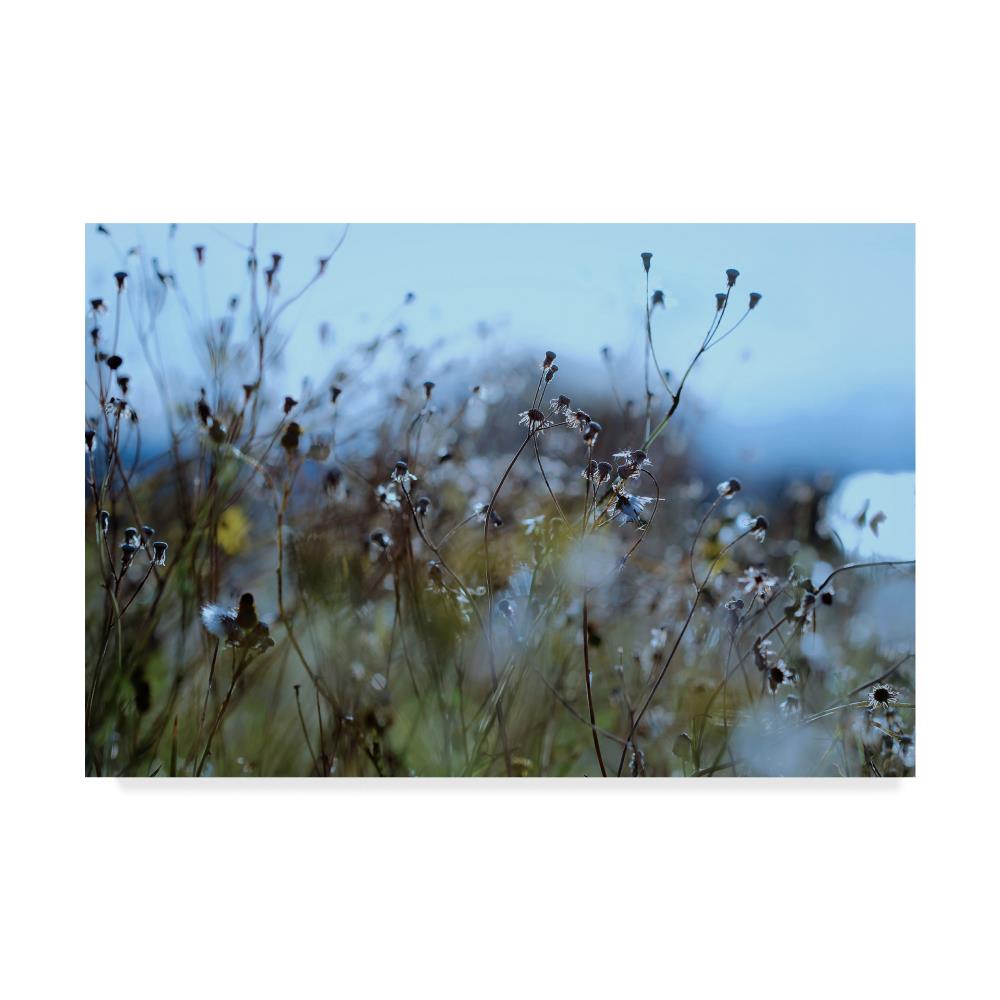 Trademark Fine Art BC00320-C2232GG Framed 22-in H x 32-in W Landscape Print on Canvas