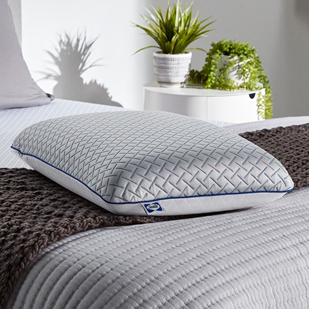 Sealy Standard Medium Memory Foam Bed Pillow in the Bed Pillows ...