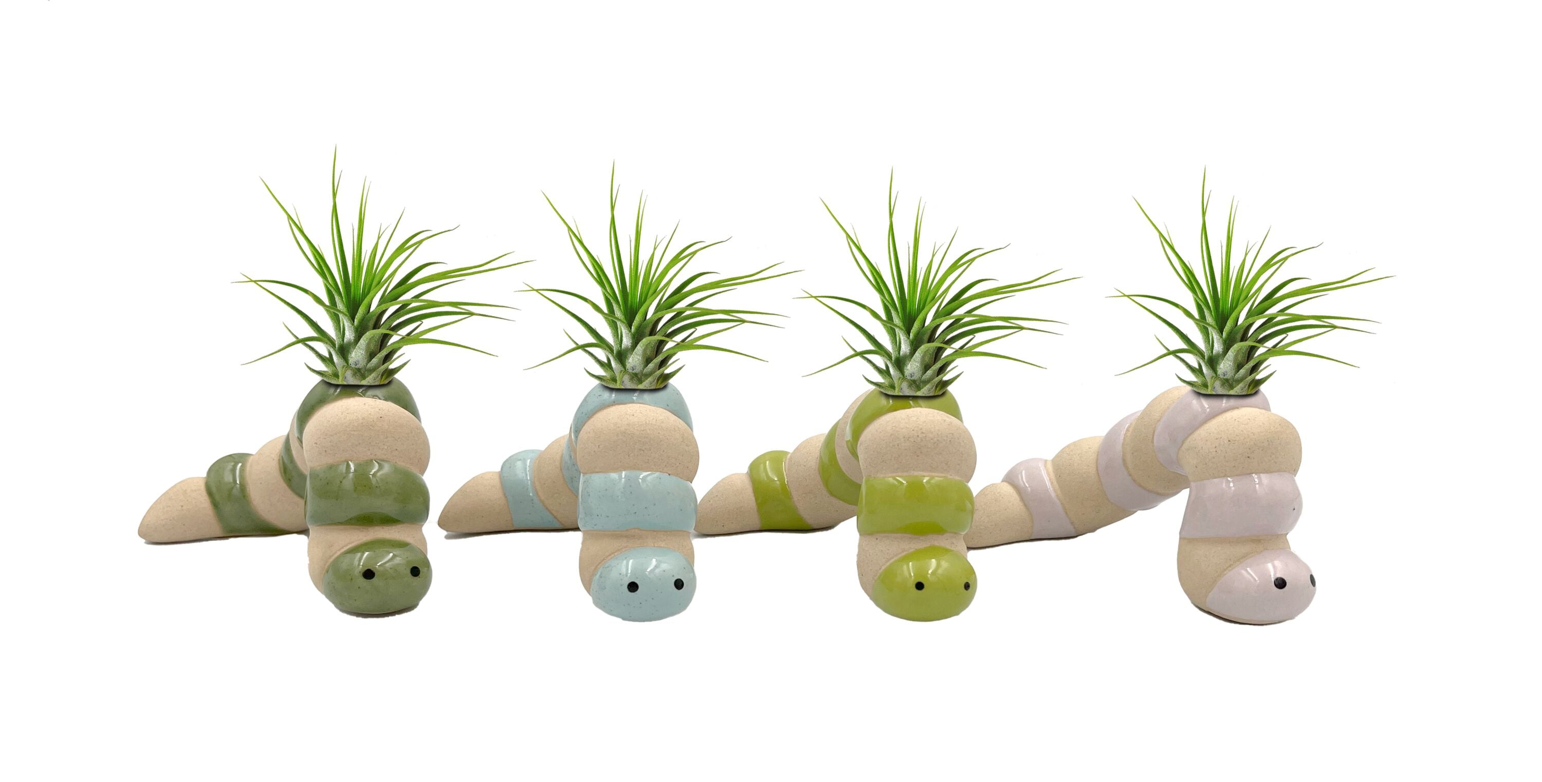 LiveTrends WIGGLE Wiggle Worms House plant in 1 -Pack Pot 1 -Pack