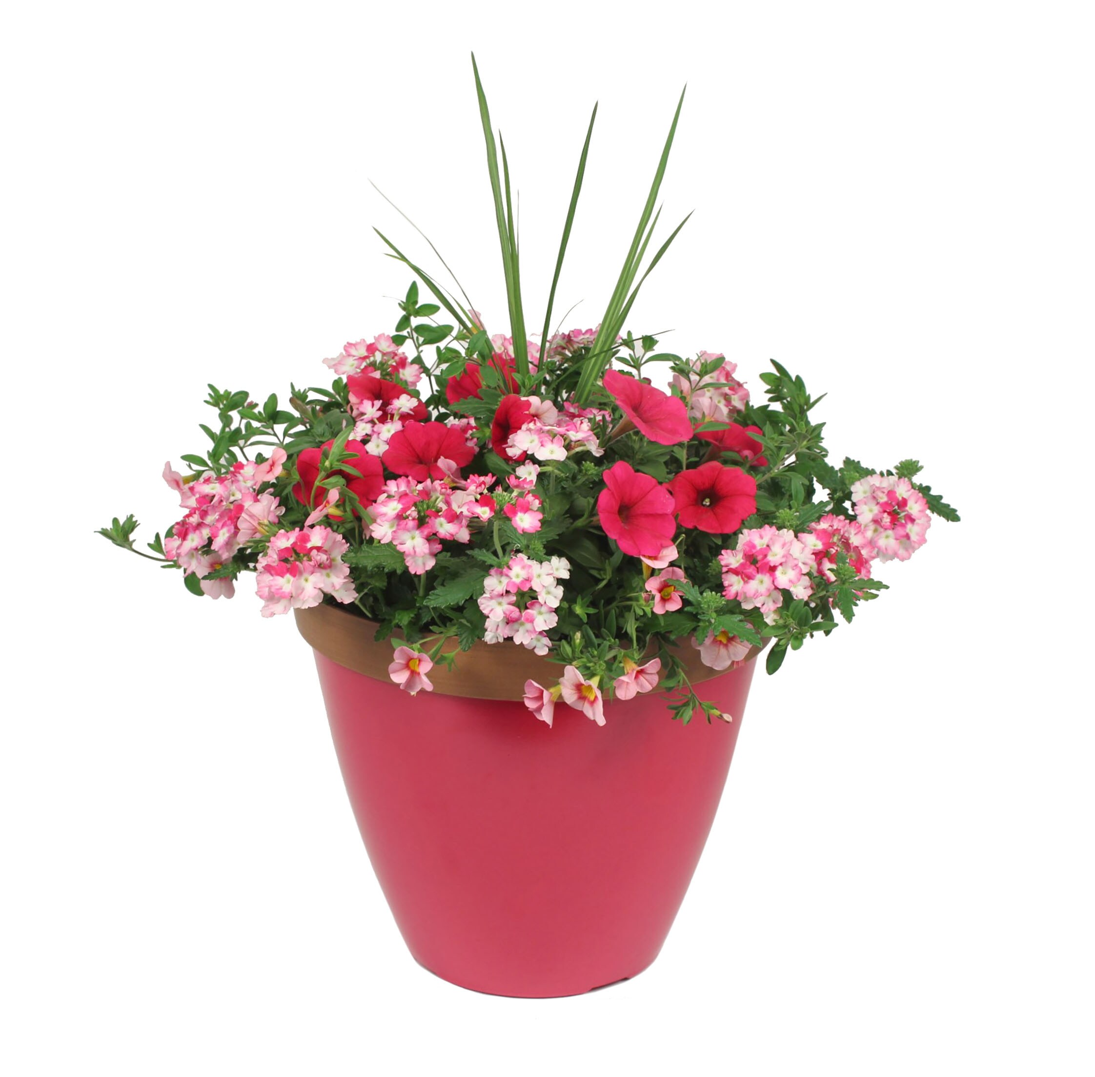 Lowe's Multicolor Mixed Annuals Combinations in 3-Gallon Planter in the ...