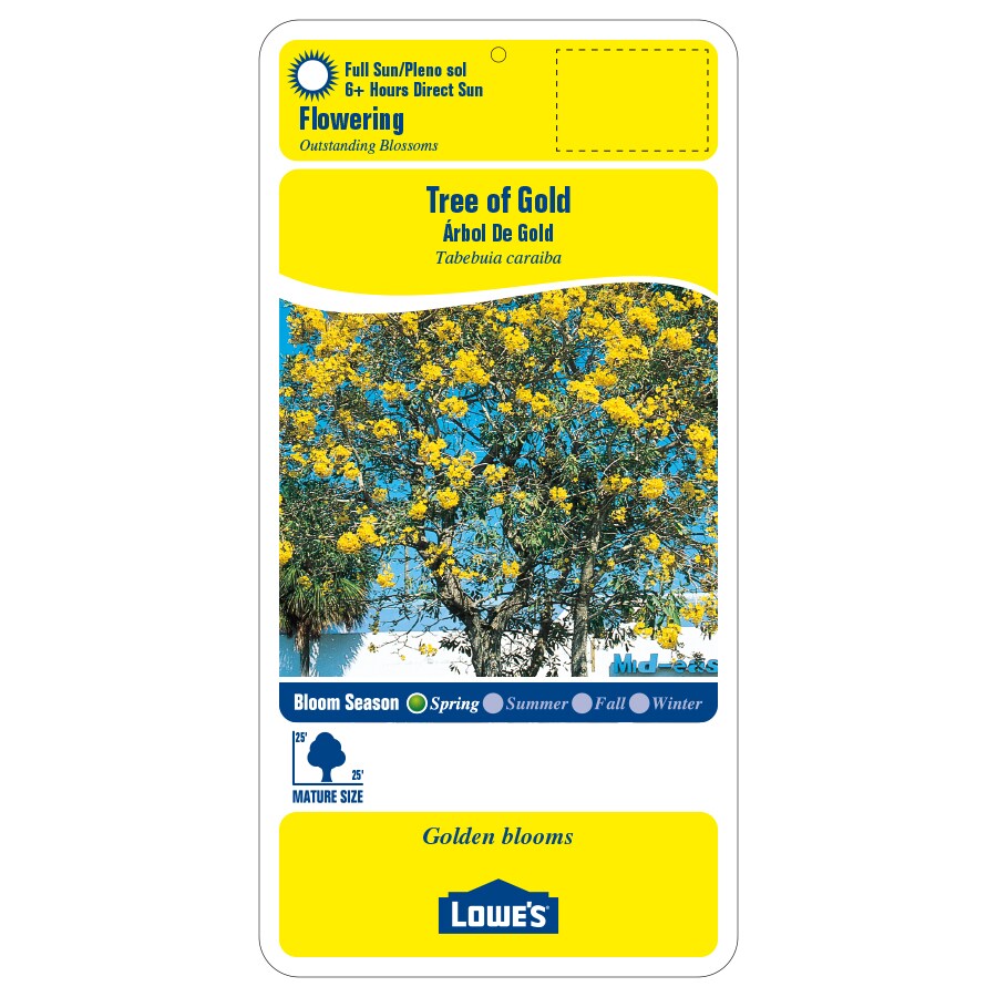 Lowe's NURSERY trees - View #2