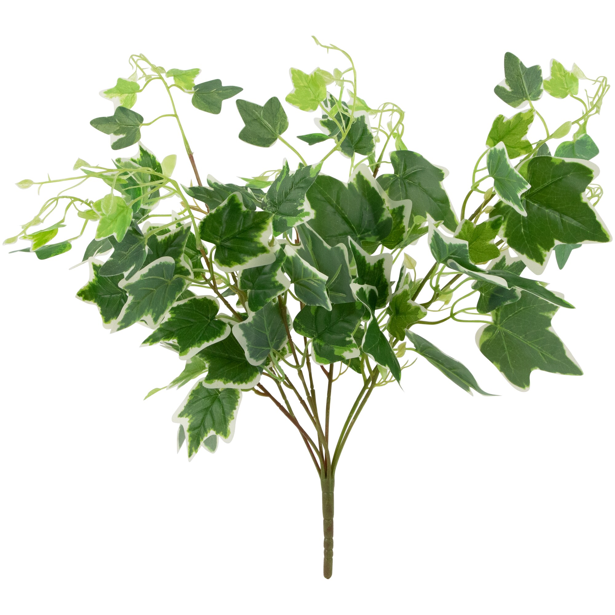 Primrue Rockdale Organic Modern Faux Ivy Plant & Reviews