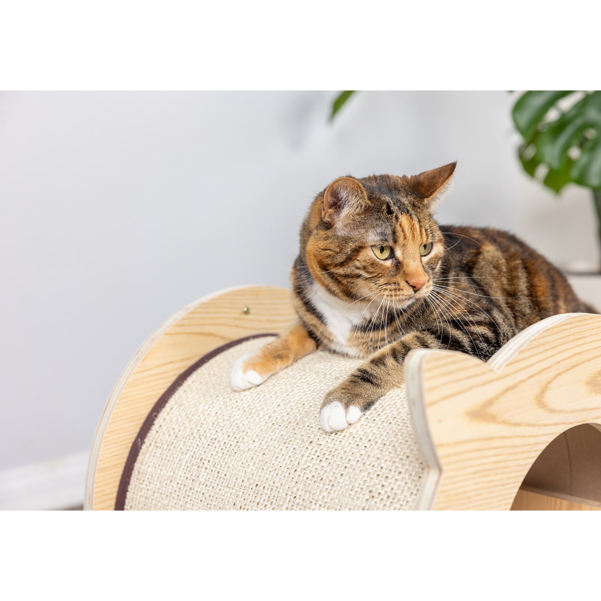 Armarkat S1203 Cat-Trees - View #9
