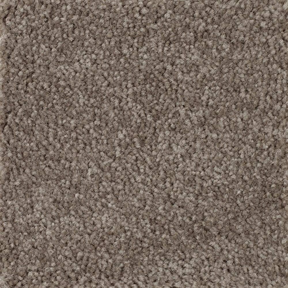 STAINMASTER PetProtect SS005-L015-0808 (Sample) Right Meow I Sparrow Brown 38-oz sq yard Triexta Textured Indoor Carpet