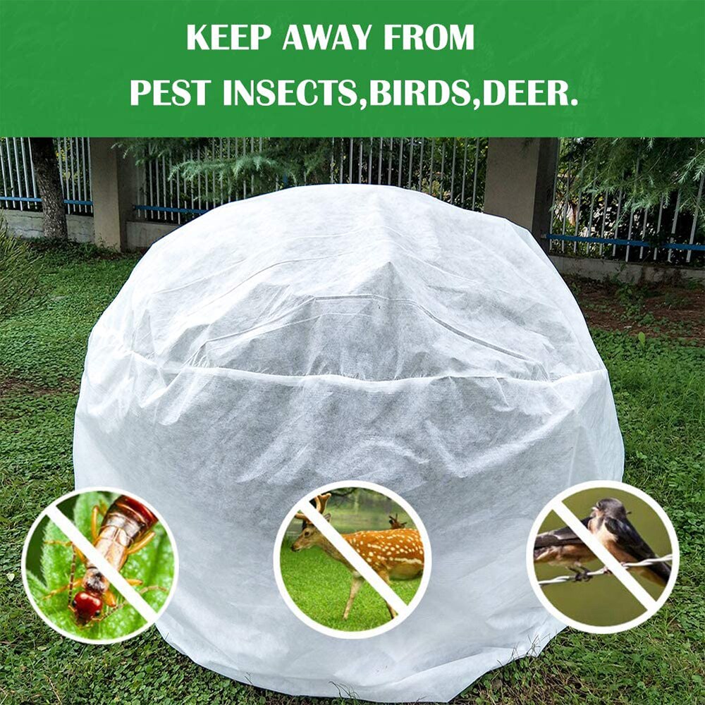 Agfabric OE92630 Winter-Plant-Protect - View #3