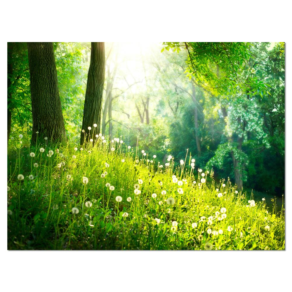 Designart PT14275-20-12 12-Inches H x 20-Inches W Landscape Canvas Print
