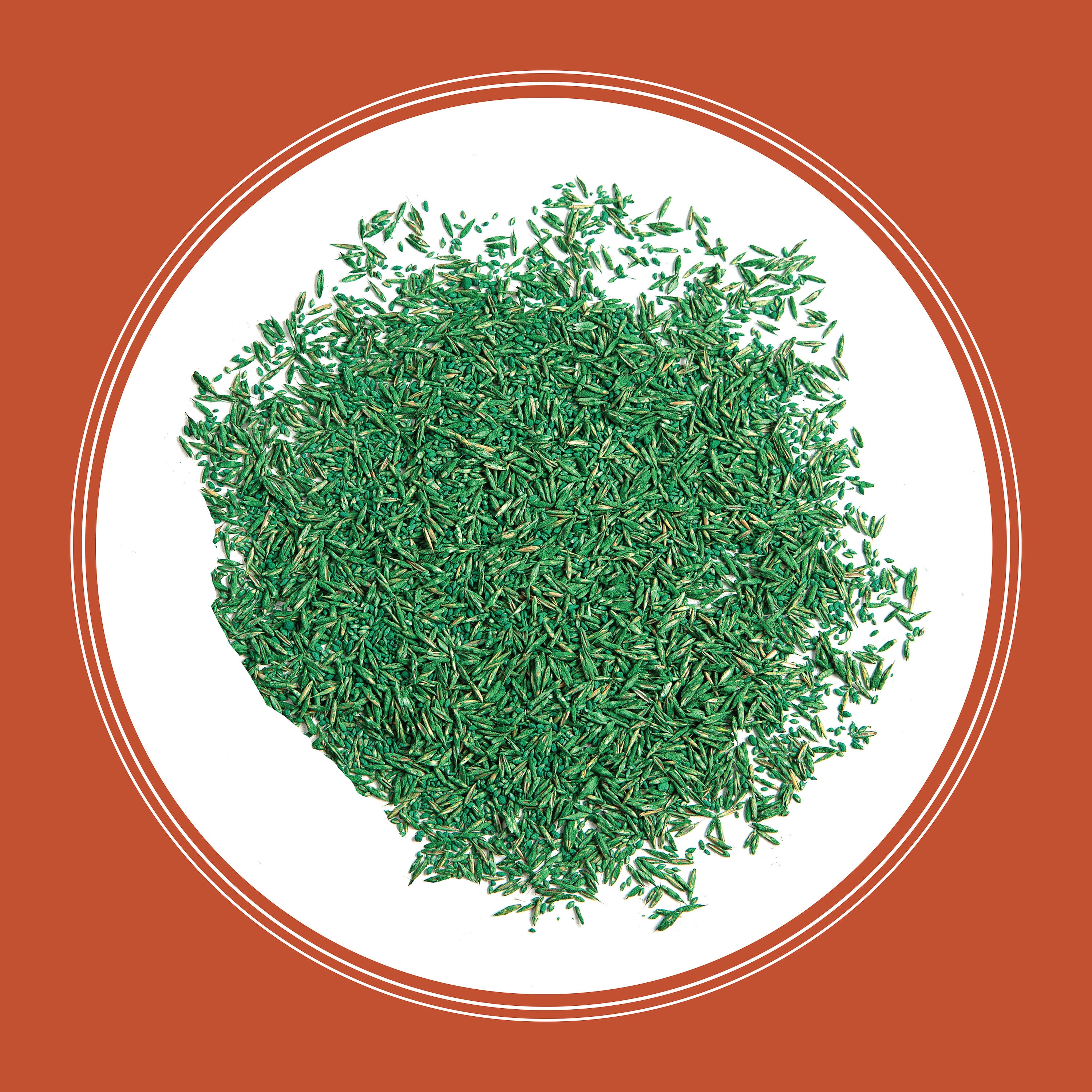 Pennington 2149600546 Grass-Seed - View #3