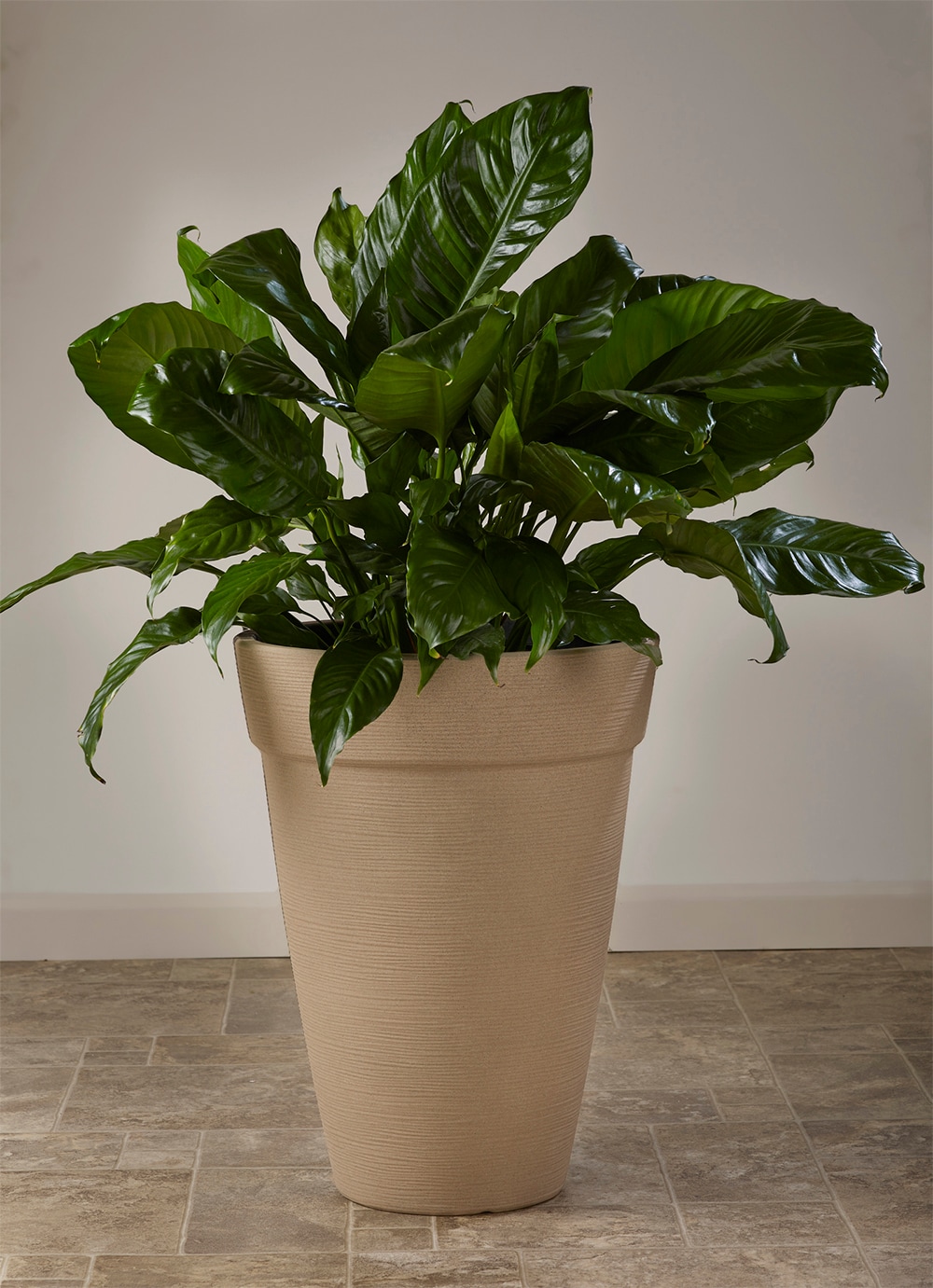 allen + roth US630148 Planter-Window-Box - View #8