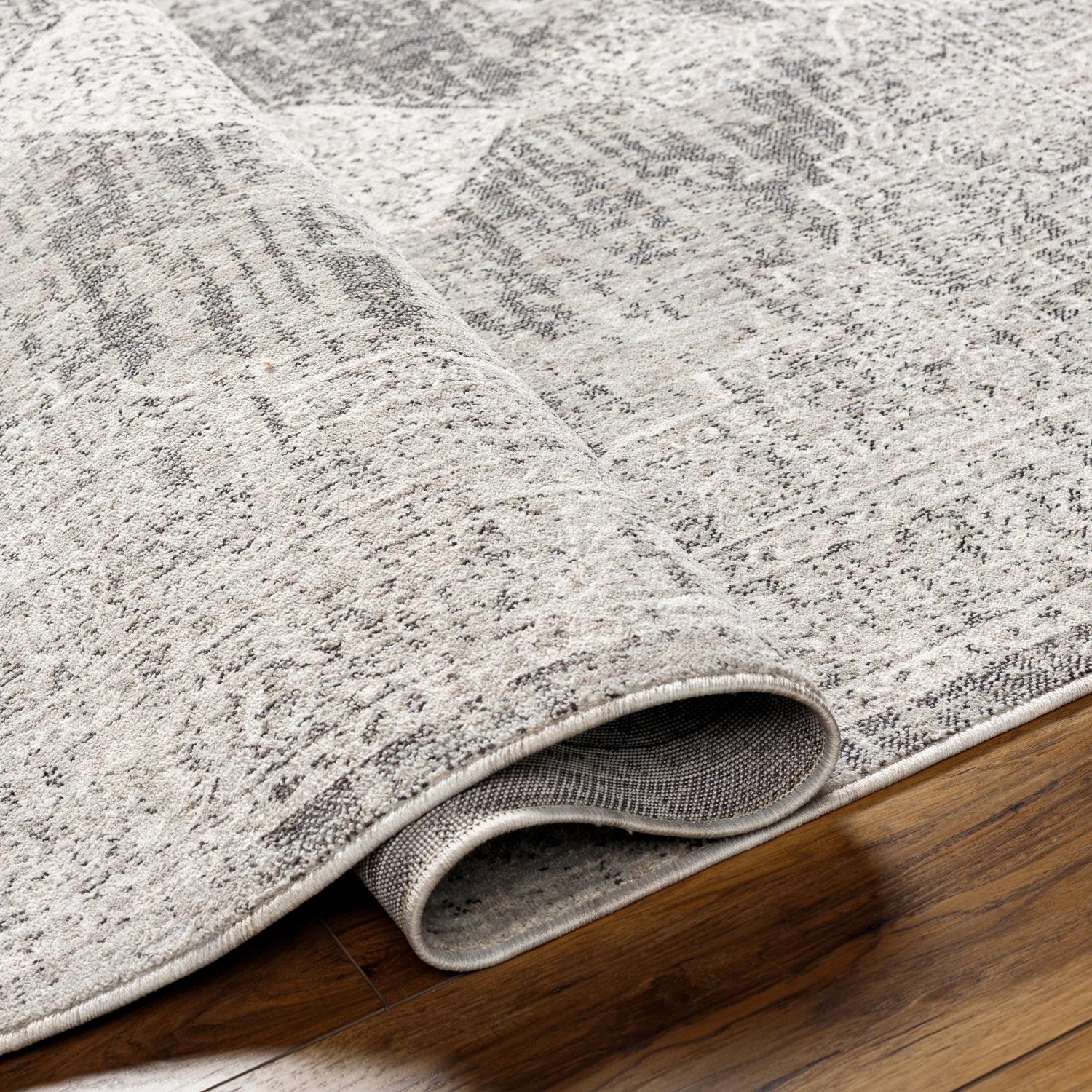 Livabliss JLT2305-71010 rugs - View #5