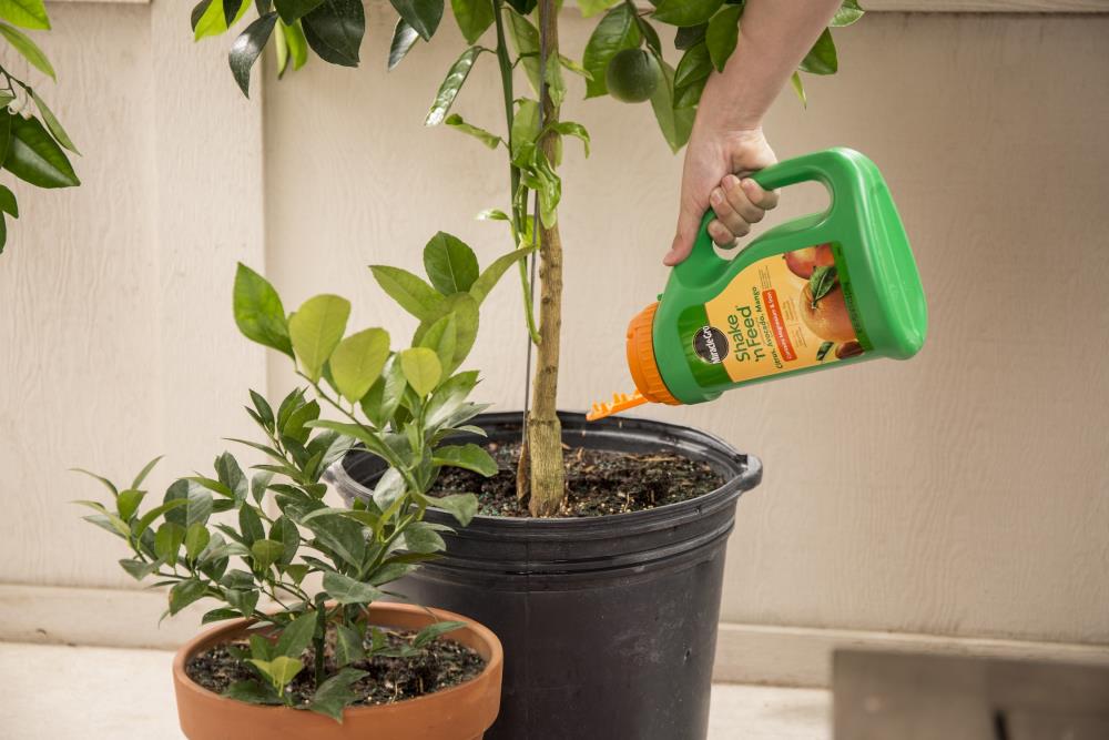 Miracle-Gro 104829 Plant-Food - View #6