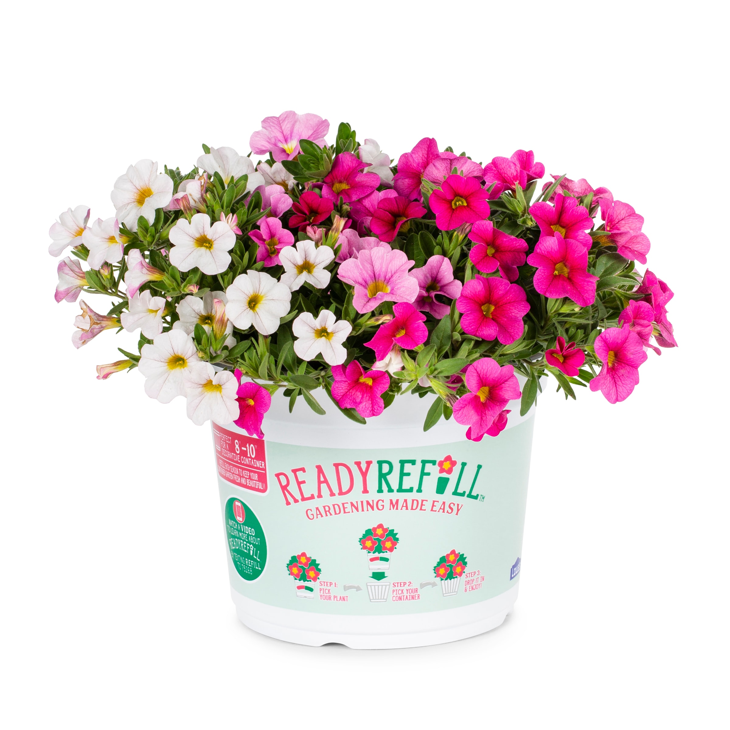 Lowe's 1552699 Multicolor Purslane in 3.00 Quart(s) Pot