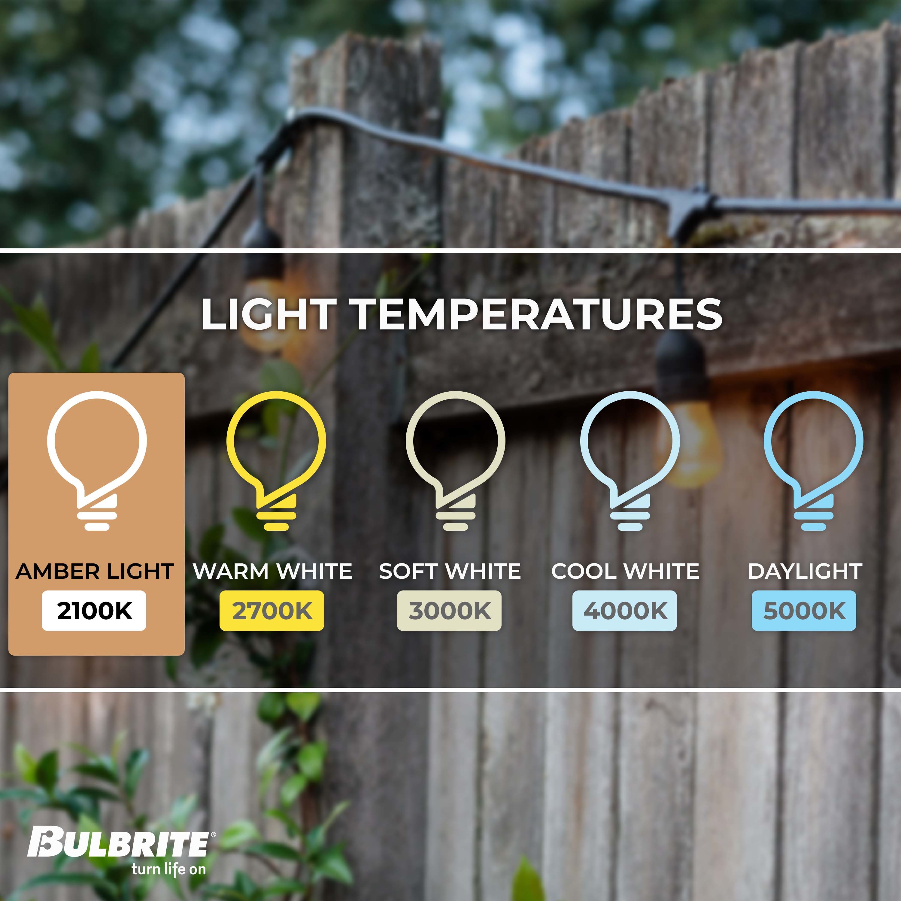 Bulbrite 810004 Patio-String-Lights - View #5