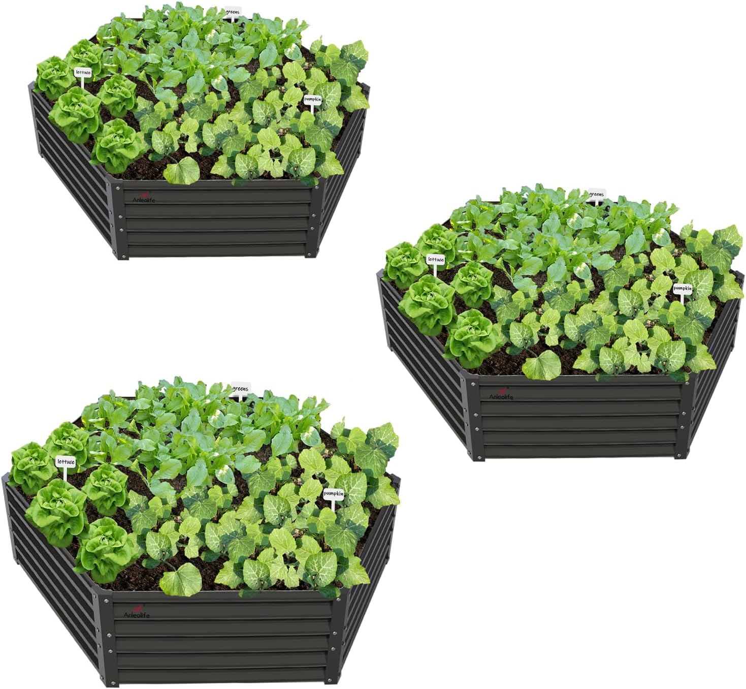 Zeus & Ruta BLGARDER-39 162-cu ft 72-in W x 72-in L x 18-in H Antique White Galvanized Metal Raised Garden Bed