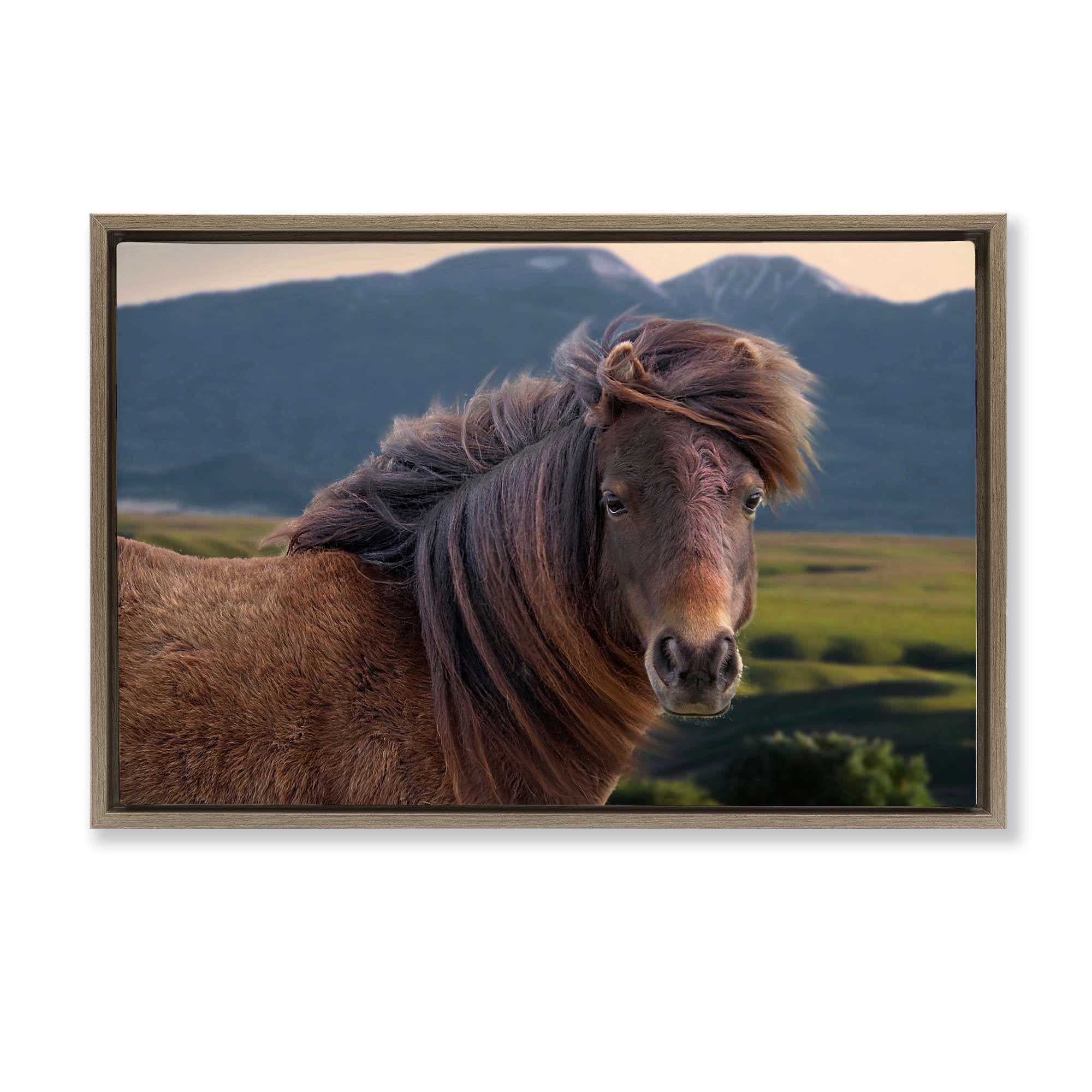 Stupell Industries BT-331-FFE-16X24 Windblown Mare in Mountain Valley Floating Frame design by Steve Toole