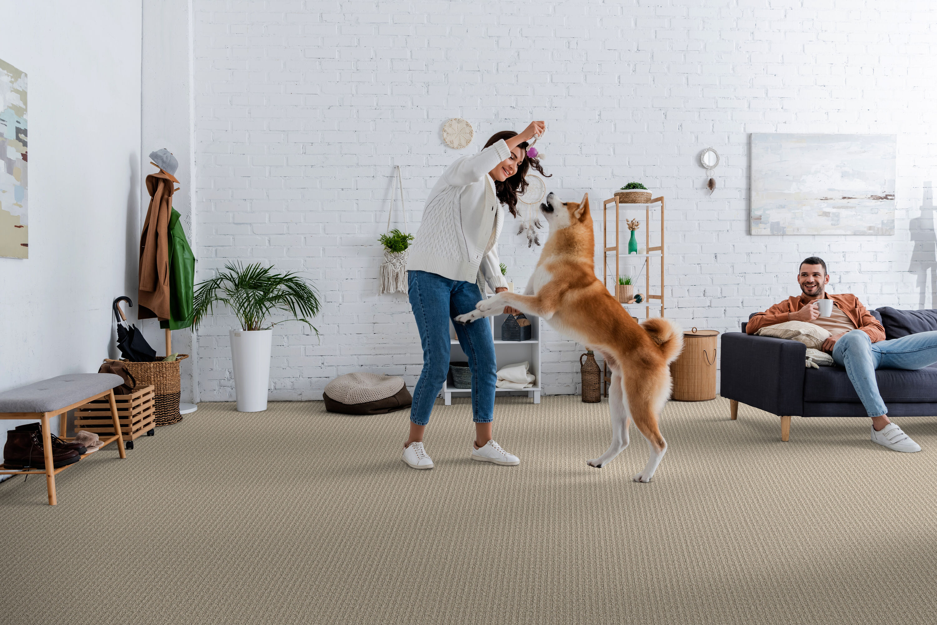 STAINMASTER PetProtect 7L885 - 700 - SAMP Carpet-Samples - View #3