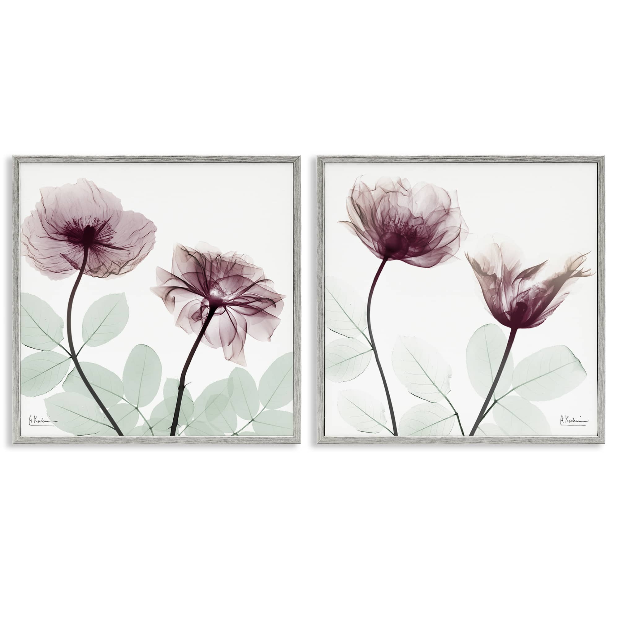 Stupell Industries B2-708-GFF-2PC-17X17 Delicate Mauve Flowers 2 Piece Gray Framed Giclee Art Set By Albert Koetsier 17 x 17