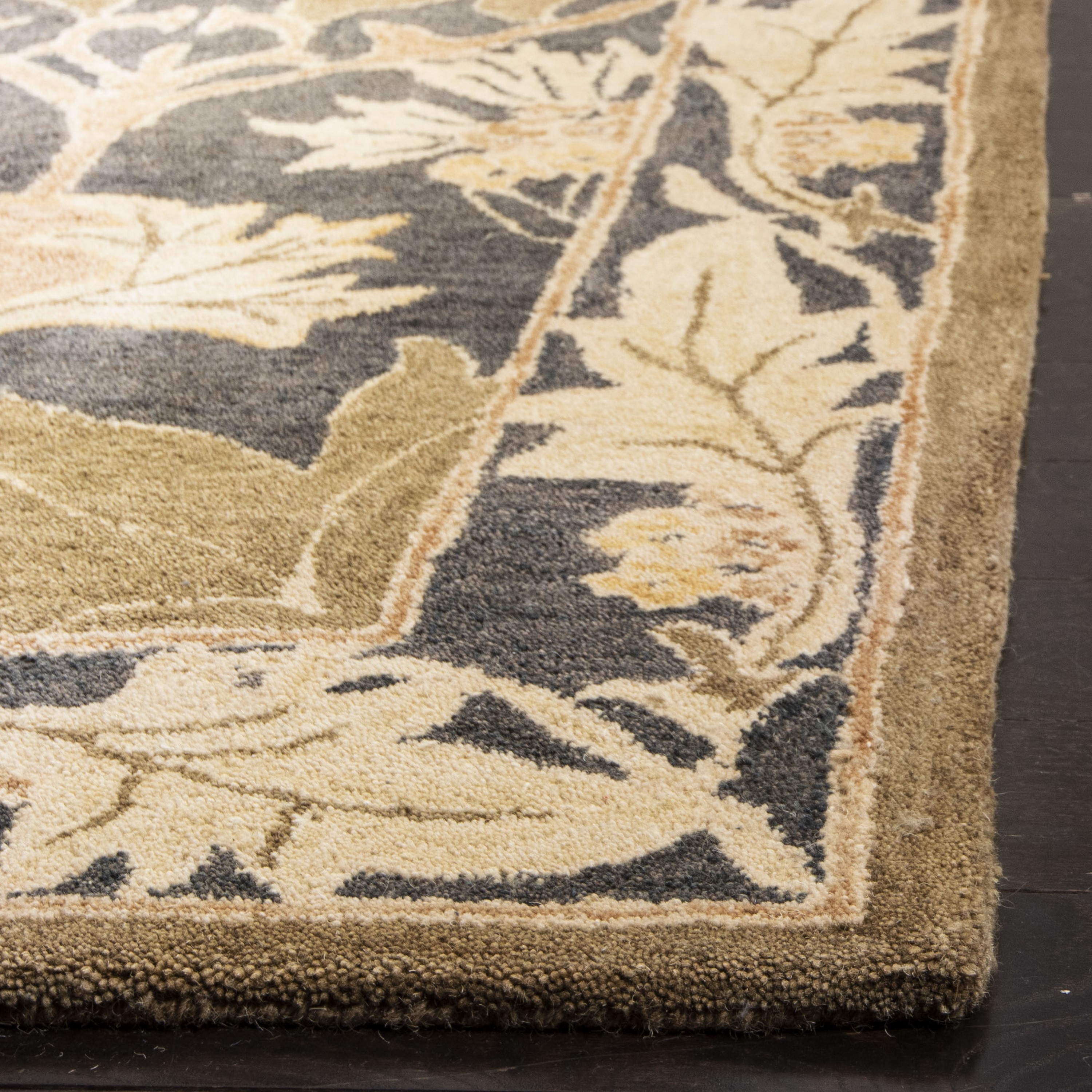 Safavieh AN541A-10 rugs - View #4