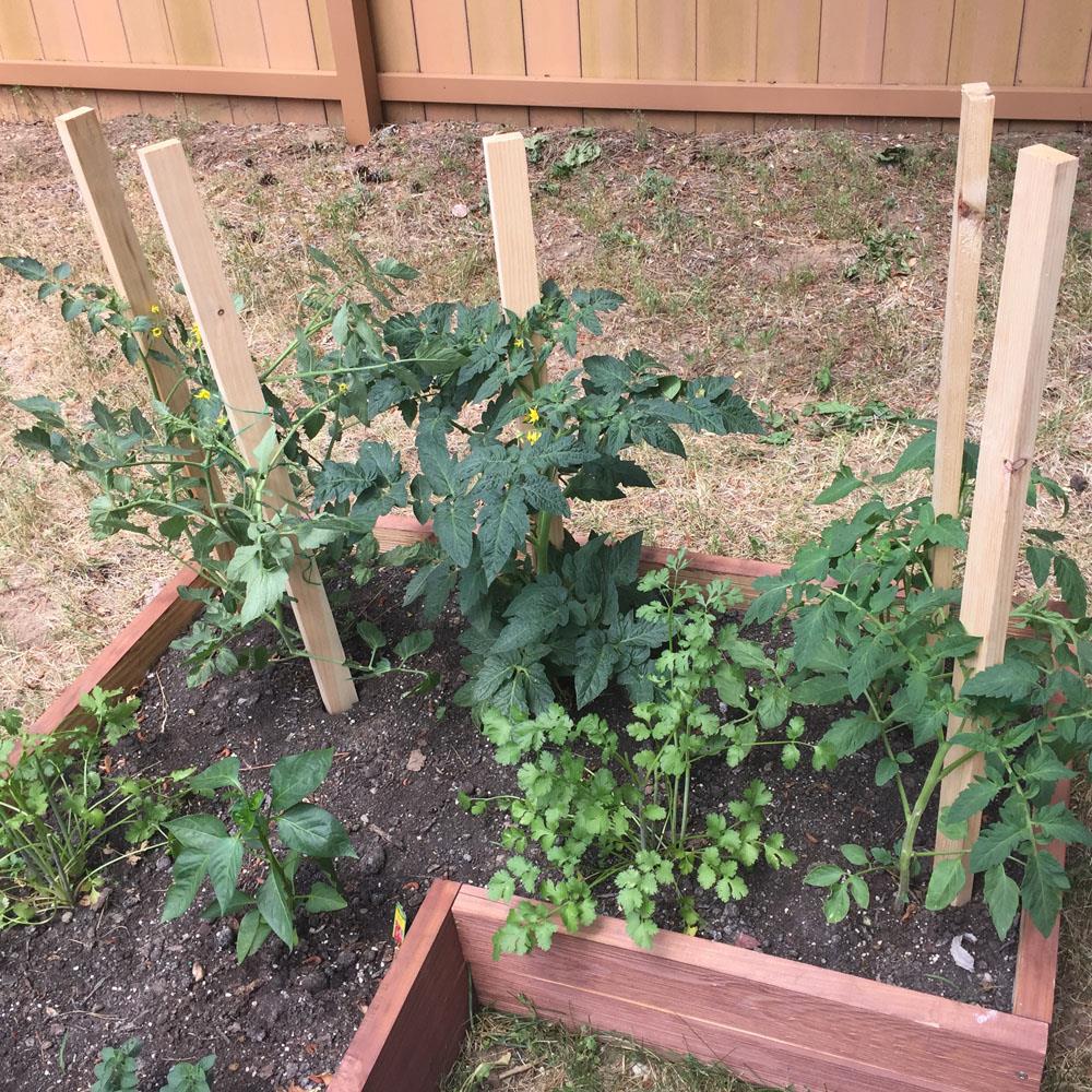  85391 Landscape-Stakes - View #3