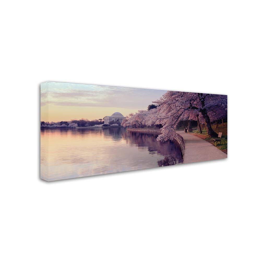 Trademark Fine Art Framed 19-in H x 8-in W Landscape Print on Canvas in ...