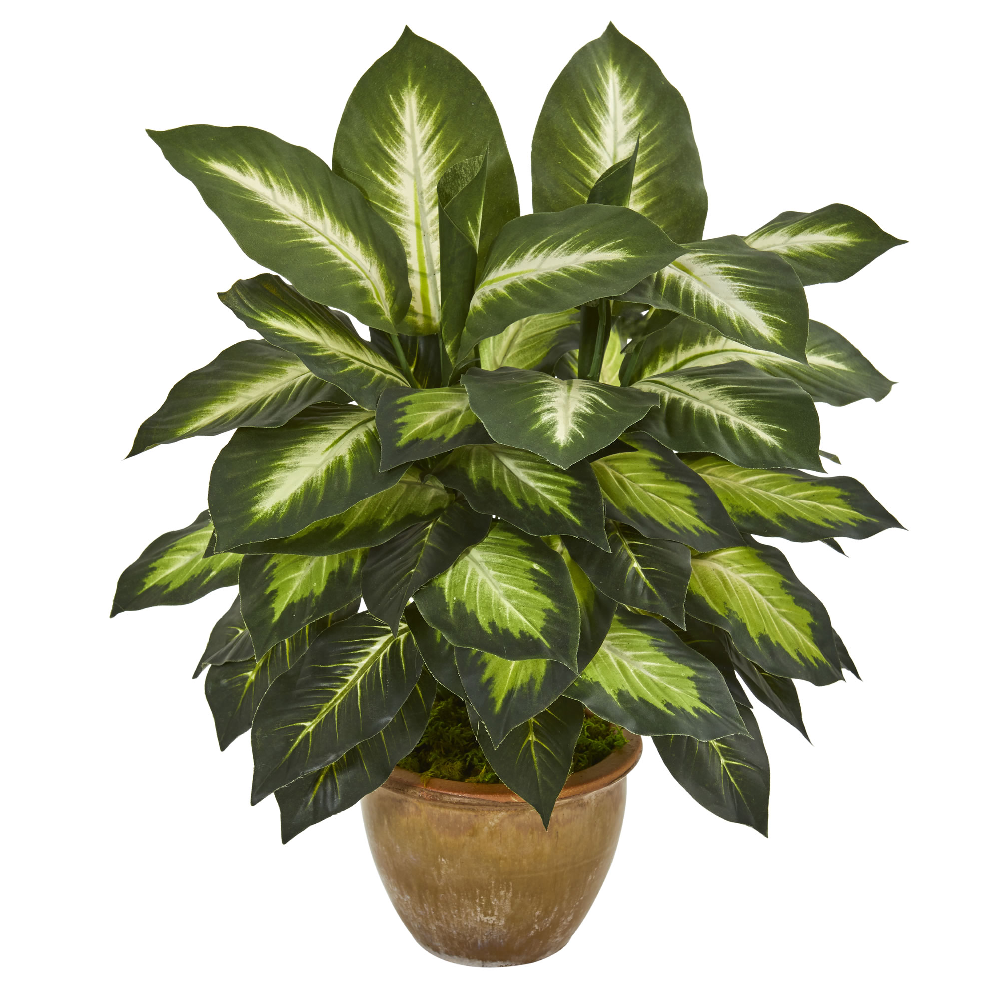 Nearly Natural 8051 18-Inches Green Indoor Desktop Dieffenbachia Artificial plant