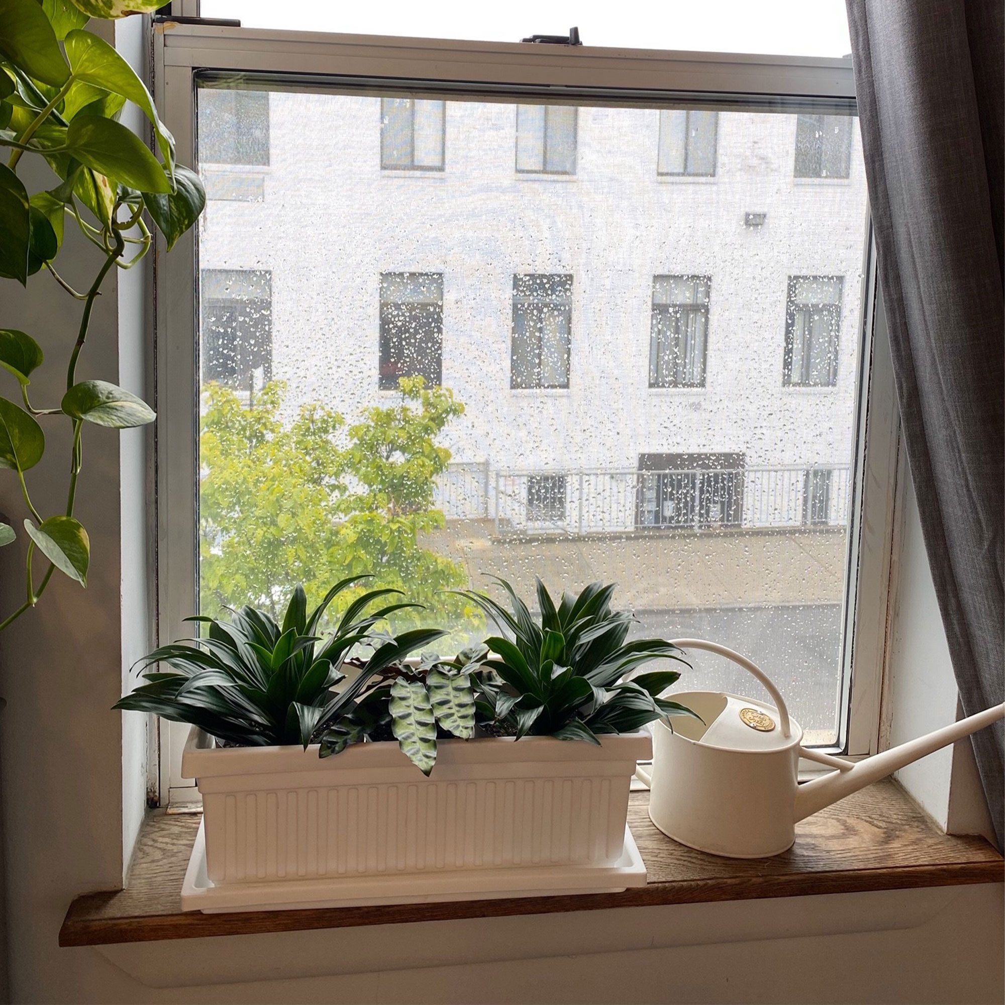 The HC Companies 400727 Planter-Window-Box - View #7