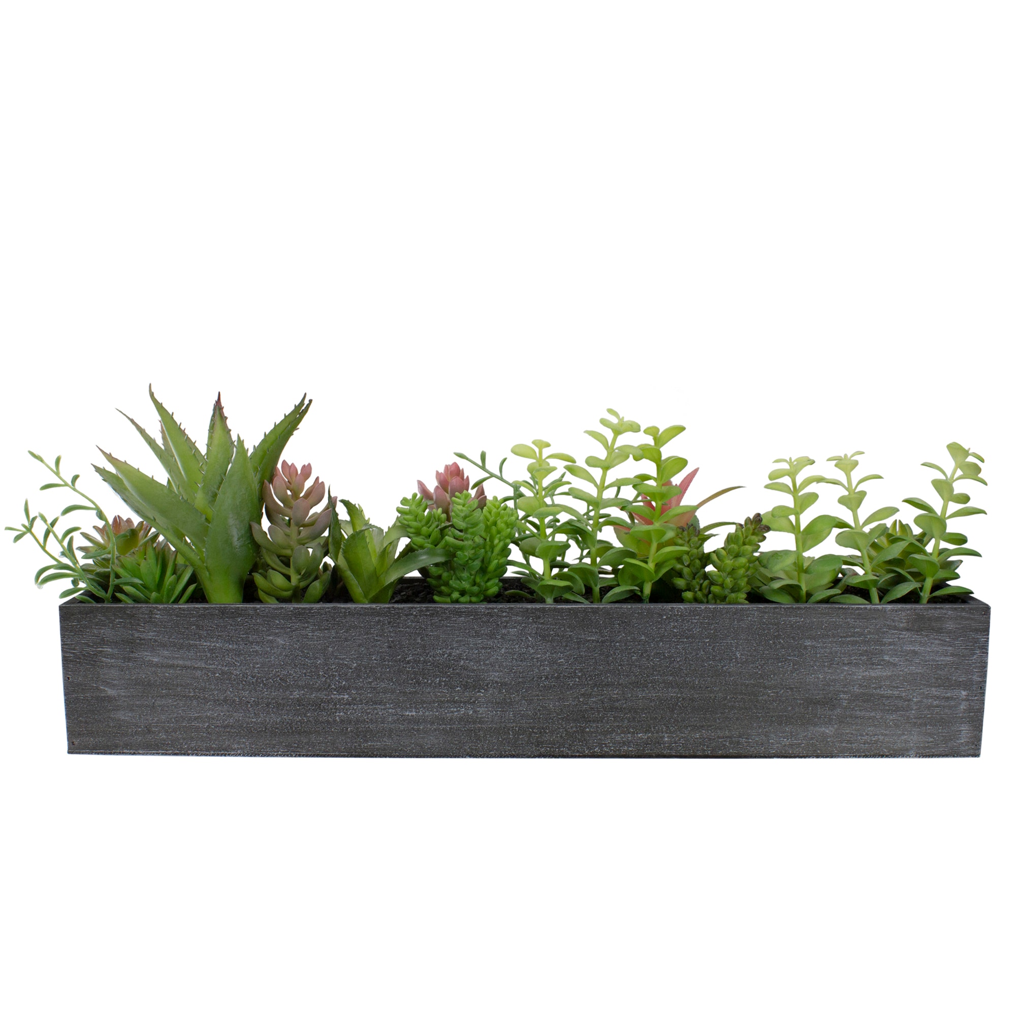 Northlight 34738374 9-in Green Indoor Desktop Succulent Artificial plant