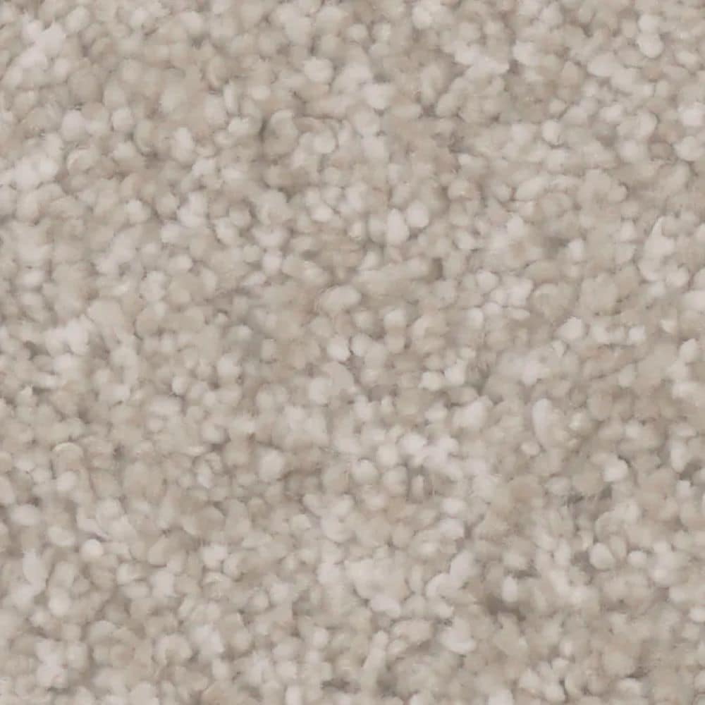 STAINMASTER S9945-20001-S (Sample) Dunes Brown 45-oz sq yard Polyester Textured Indoor Carpet