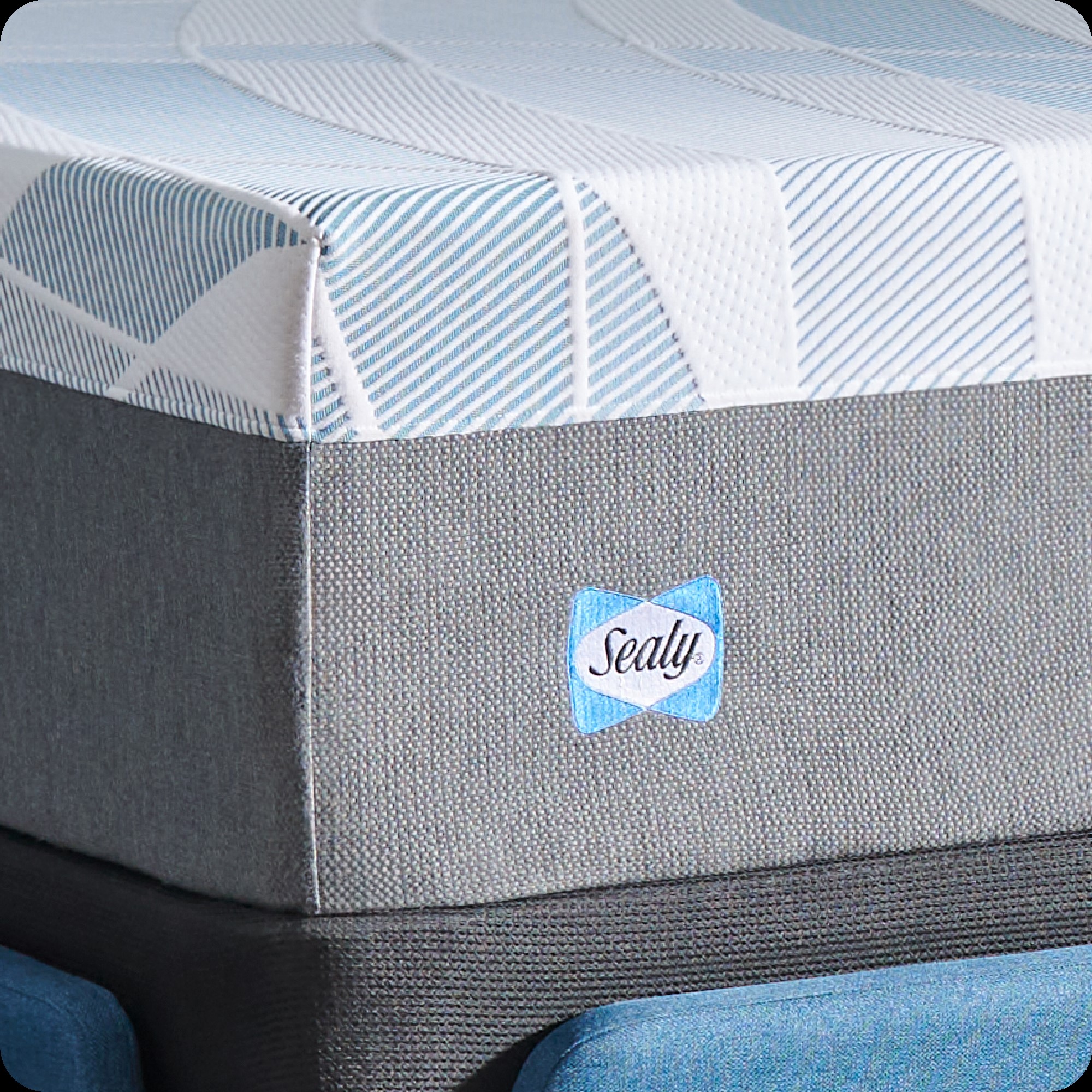 Sealy F03-00238-QN0 Mattresses-Boxsprings - View #5