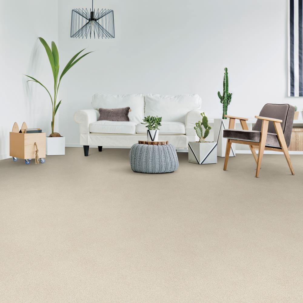 STAINMASTER 6868-103 Carpet-Panel - View #2