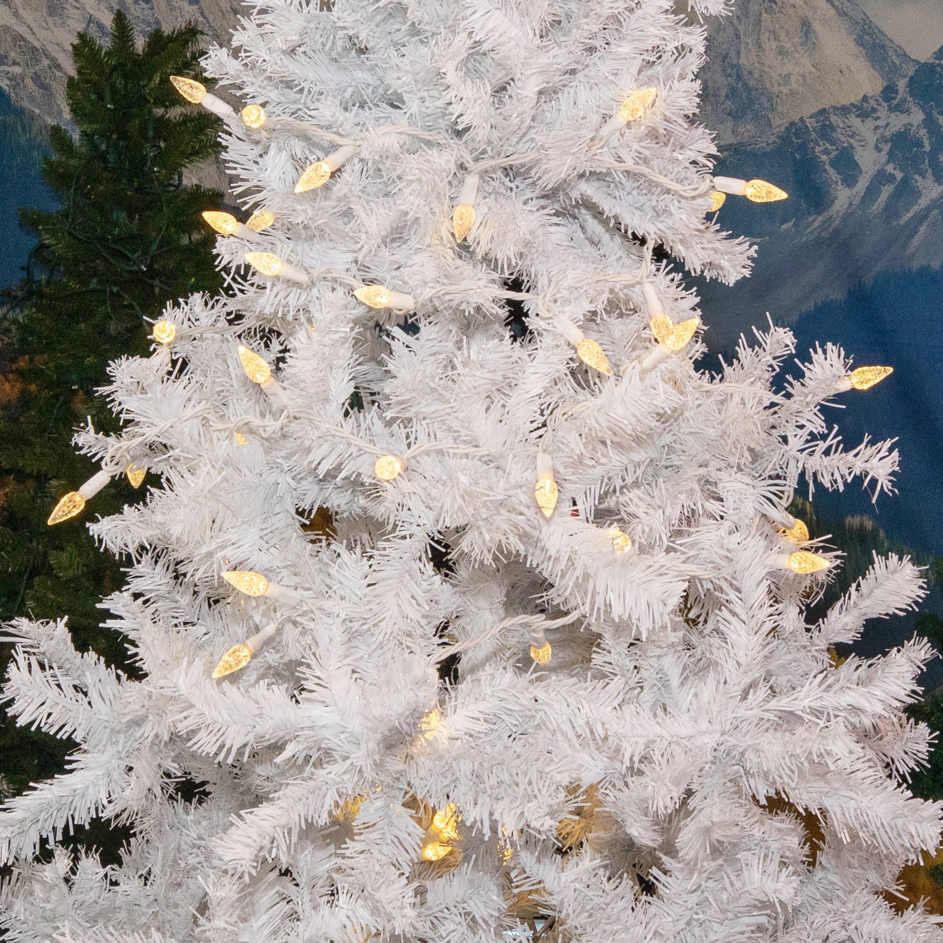 Novelty Lights CGC6LED70-W-WW Patio-String-Lights - View #4