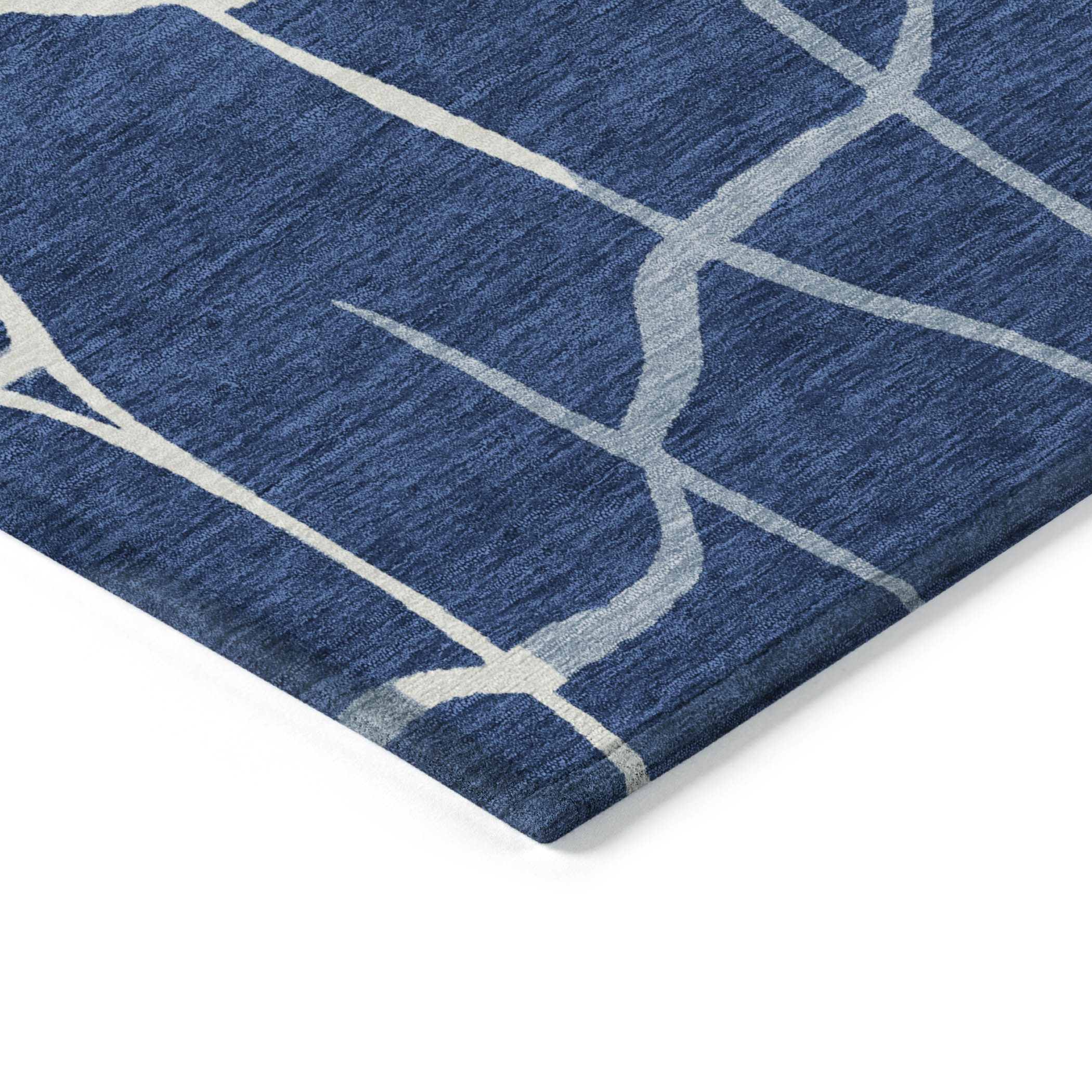 Addison Rugs ACN1049NA30X46 rugs - View #4